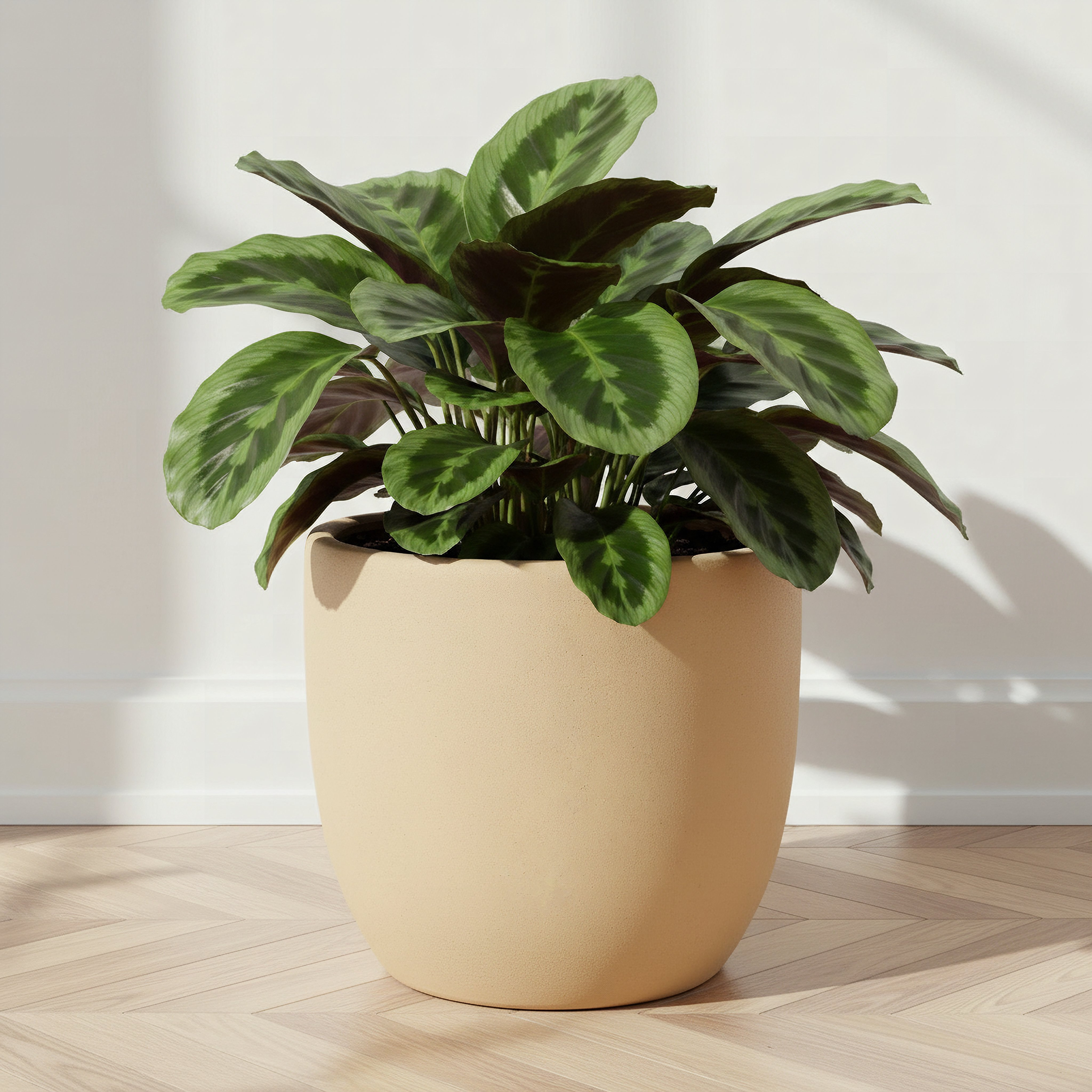 Sansa Siera Large Ceramic Planter - 32x32x29 cm-hbxhomeware-hbxdecorandfurnishings-image-1
