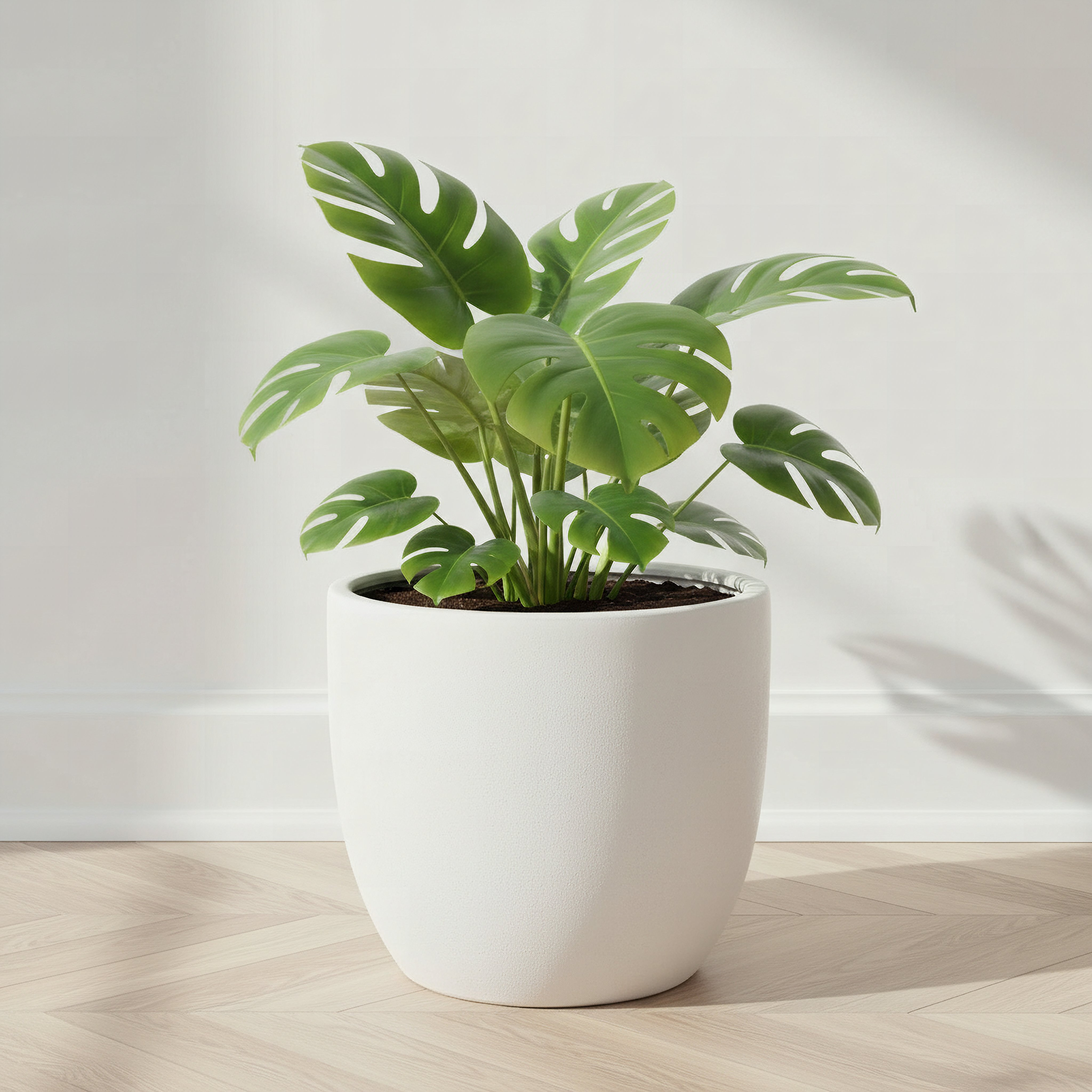 Sansa Siera Large Ceramic Planter - 26.5x26.5x34 cm-hbxhomeware-hbxdecorandfurnishings-image-1