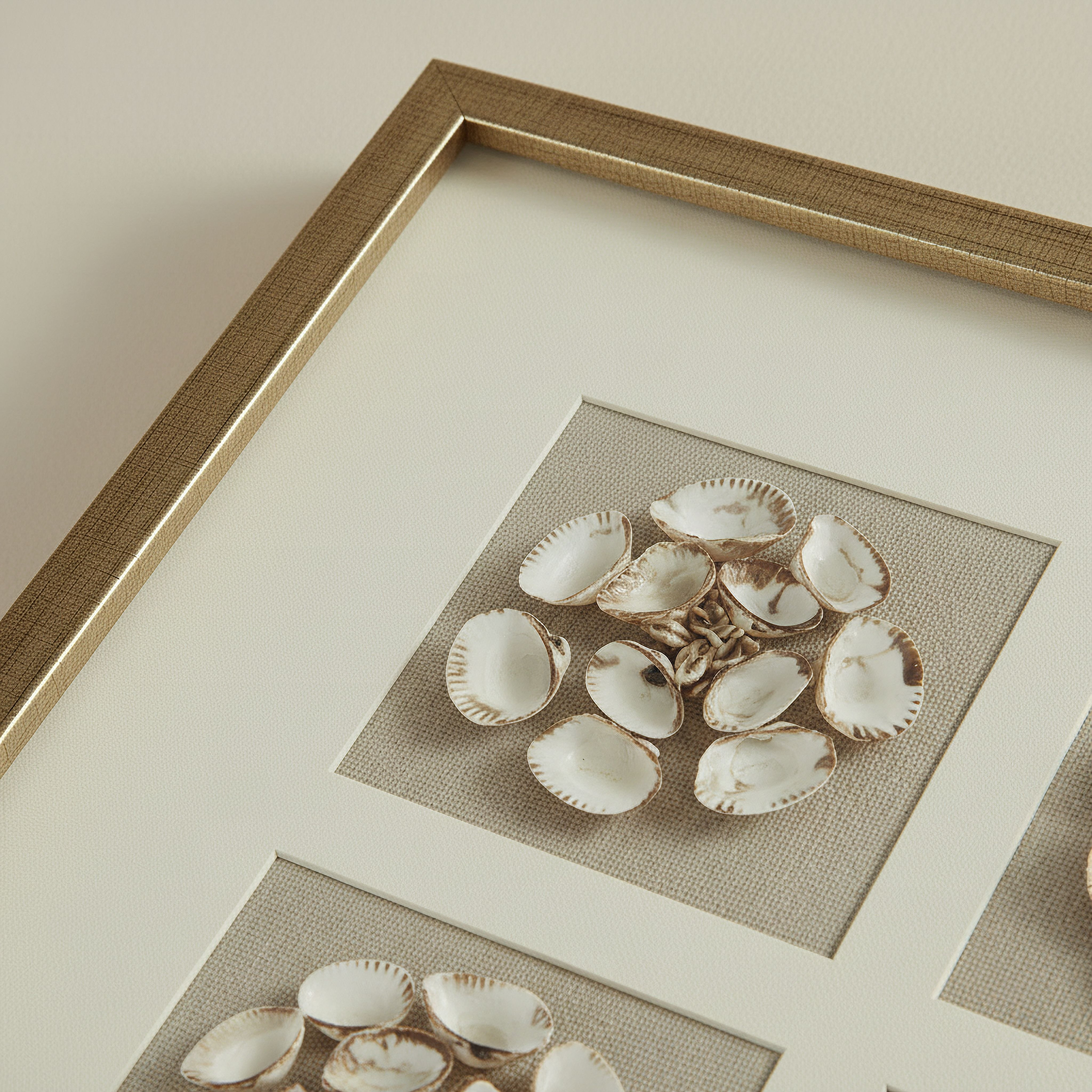 Aurum Olivia Luxe Shell Shadow Box with Frame - 60x60 cm-hbxdiningroom-walldecor-wallart-image-3