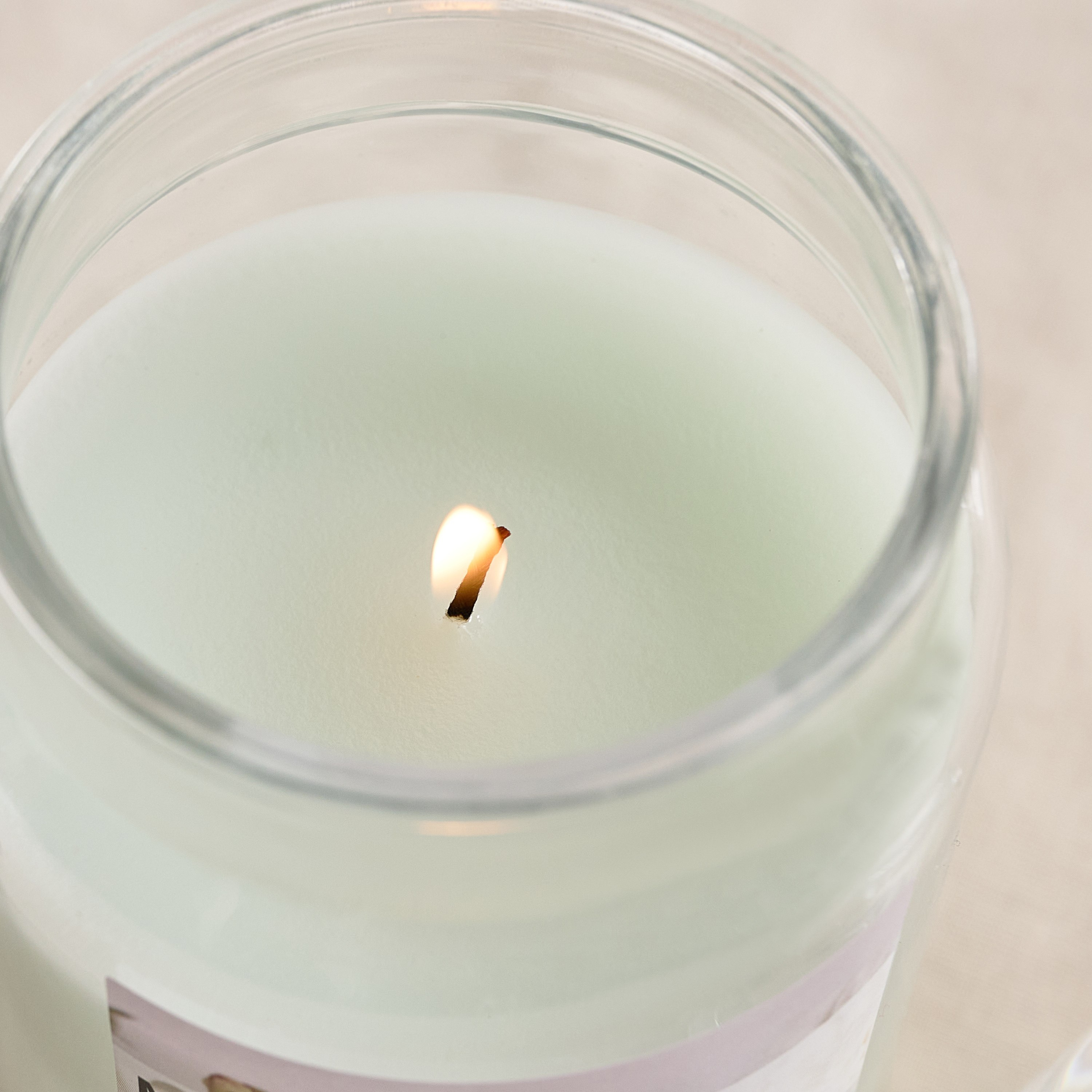 Qara Colonial Musk Peony Jar Candle - 280 gm-hbxlivingroom-decorandaccessories-candles-image-3