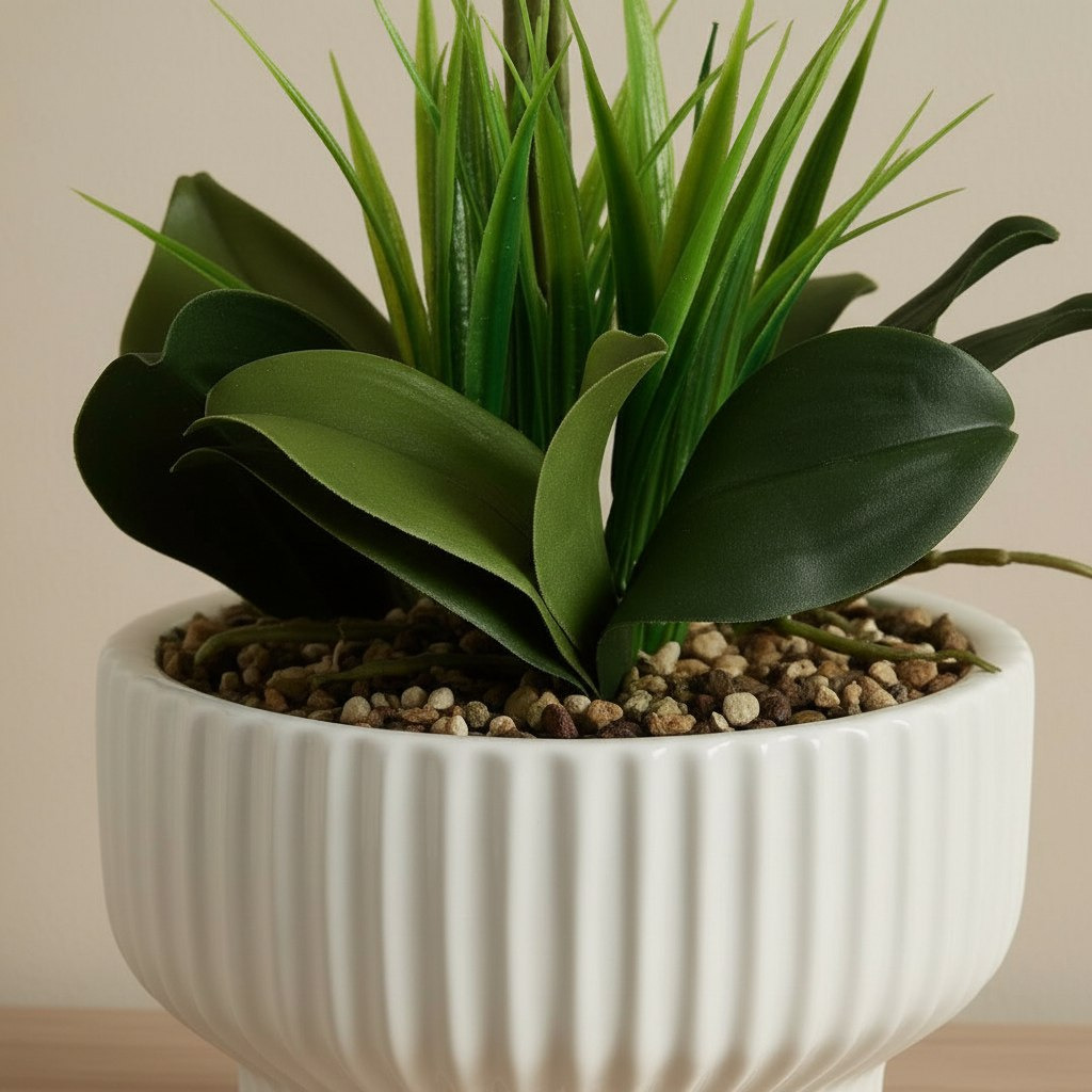 Areos Artificial Orchid Potted Plants in Ceramic Pot - 20.3x20.3x56 cm-hbxlivingroom-decorandaccessories-plantersandurns-image-3