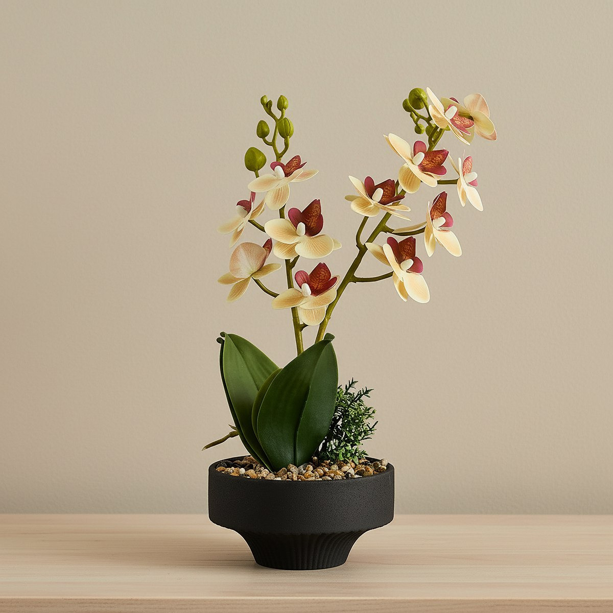 Areos Artificial Orchid Potted Plants in Ceramic Pot - 13x13x40 cm-hbxlivingroom-decorandaccessories-plantersandurns-image-1