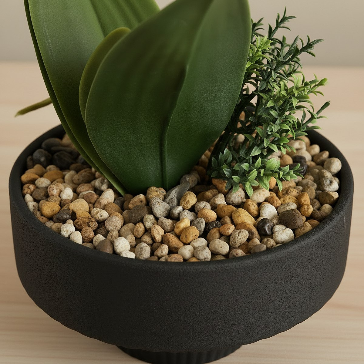 Areos Artificial Orchid Potted Plants in Ceramic Pot - 13x13x40 cm-hbxlivingroom-decorandaccessories-plantersandurns-image-3