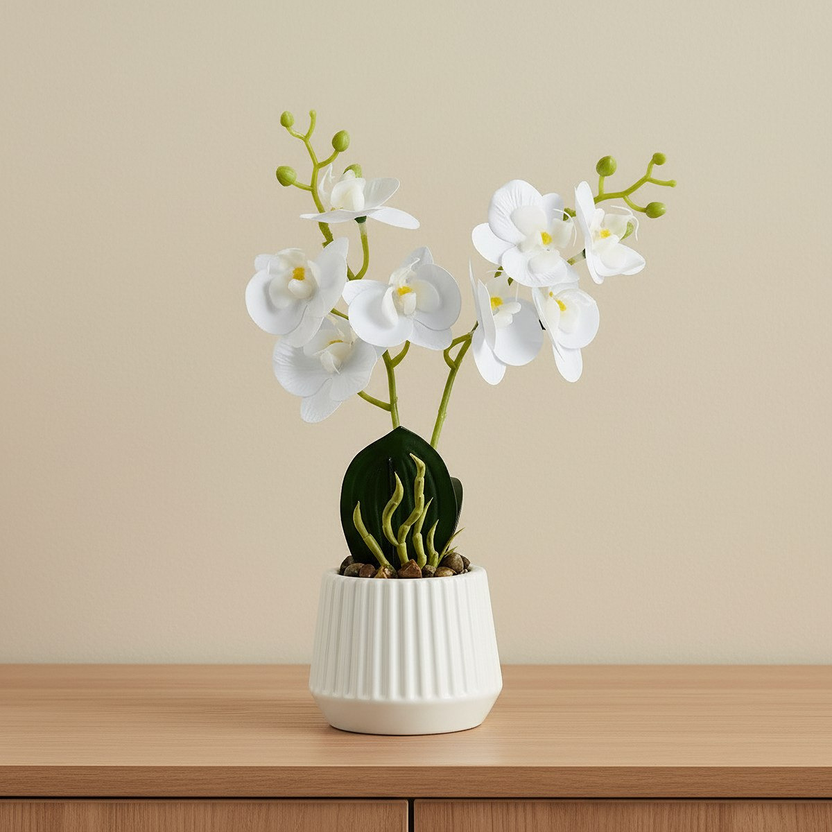 Areos Artificial Orchid Potted Plants in Ceramic Pot - 10x10x34 cm-hbxlivingroom-decorandaccessories-plantersandurns-image-1