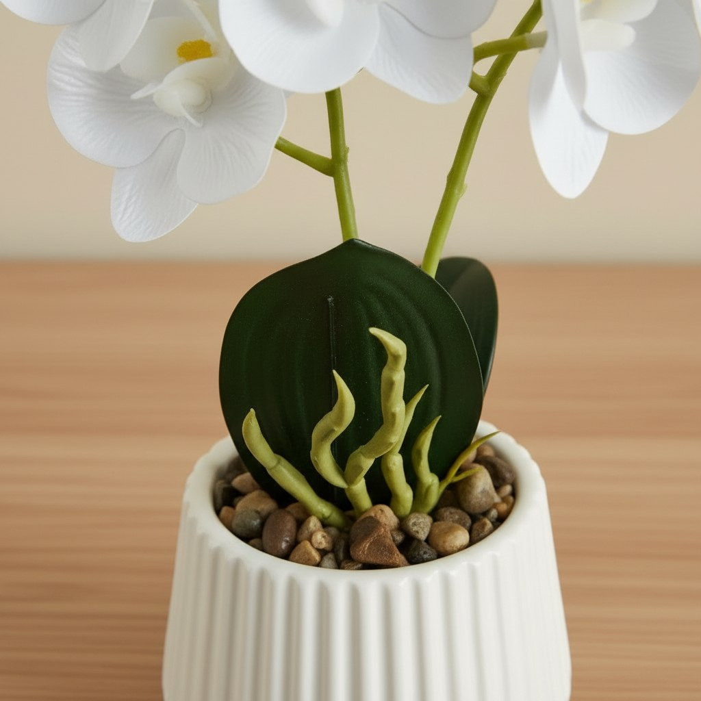 Areos Artificial Orchid Potted Plants in Ceramic Pot - 10x10x34 cm-hbxlivingroom-decorandaccessories-plantersandurns-image-2