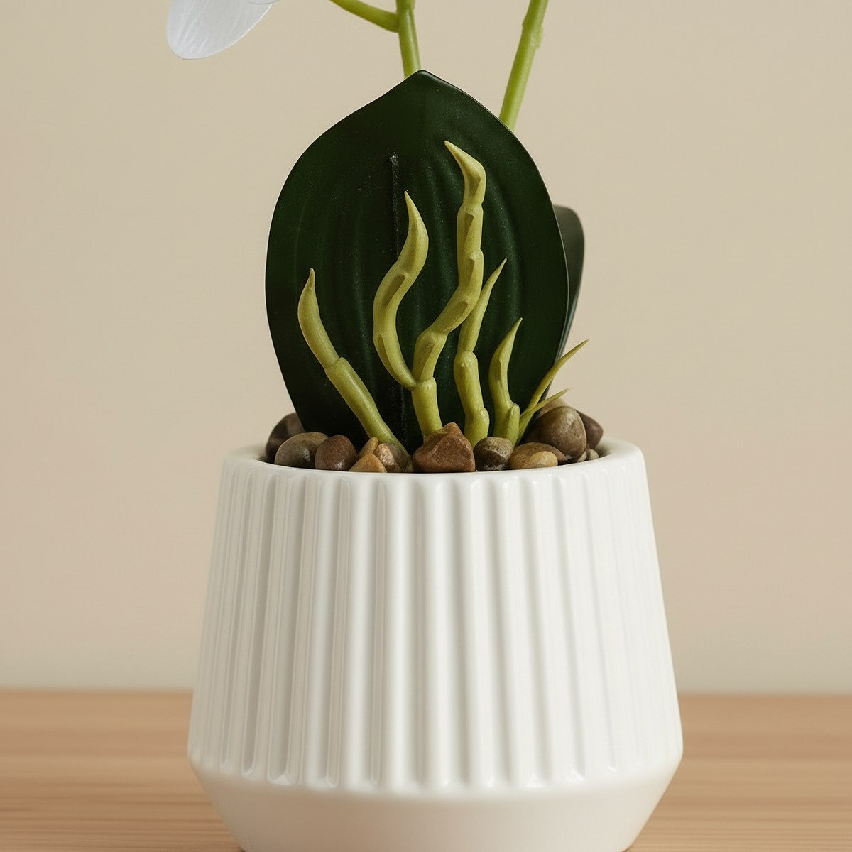 Areos Artificial Orchid Potted Plants in Ceramic Pot - 10x10x34 cm-hbxlivingroom-decorandaccessories-plantersandurns-image-3