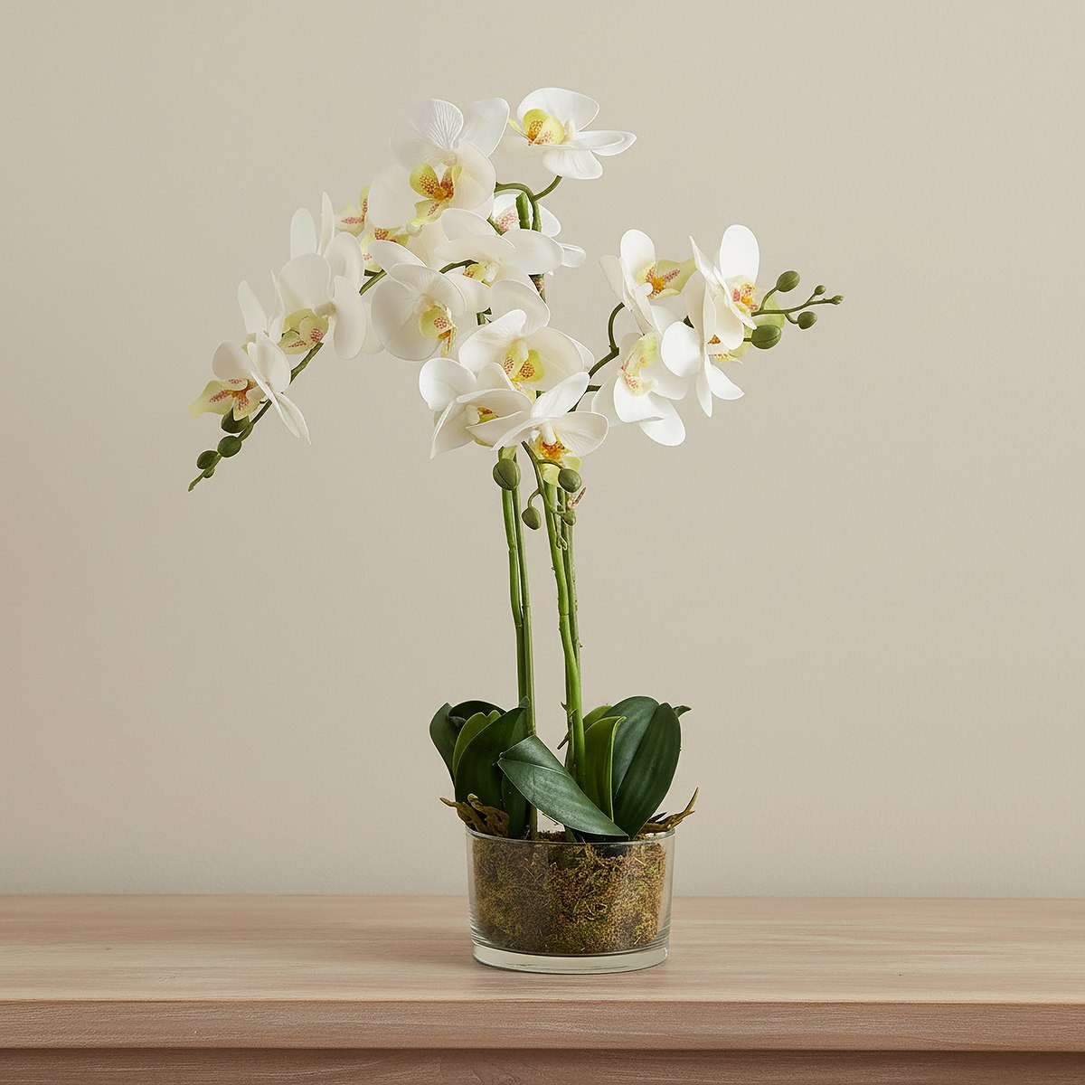 Areos Artificial Orchid Potted Plants in Glass Pot - 13x55 cm-hbxlivingroom-decorandaccessories-plantersandurns-image-1