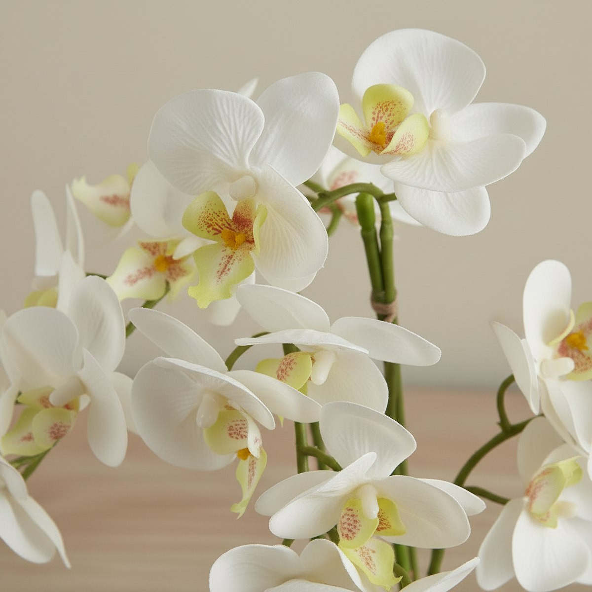 Areos Artificial Orchid Potted Plants in Glass Pot - 13x55 cm-hbxlivingroom-decorandaccessories-plantersandurns-image-2