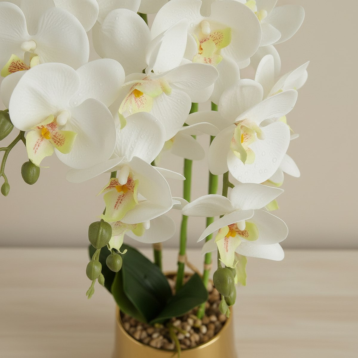 Areos Artificial Orchid Potted Plants in Ceramic Pot - 12x14x58 cm-hbxlivingroom-decorandaccessories-plantersandurns-image-2