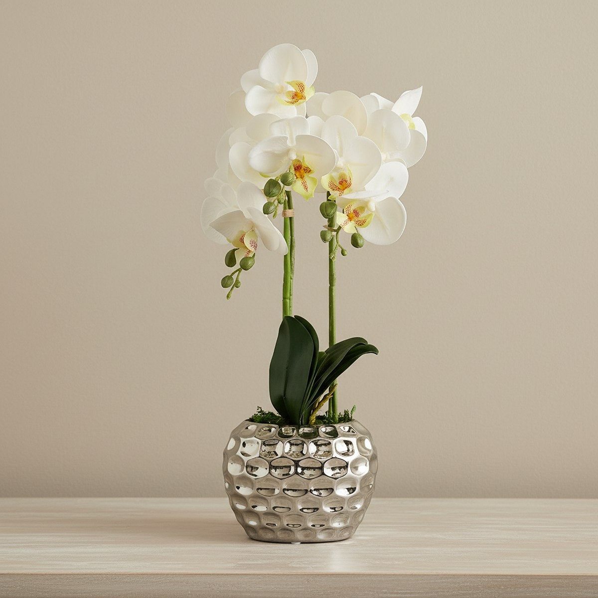 Areos Artificial Orchid Potted Plants in Ceramic Pot - 16x10x45 cm-hbxlivingroom-decorandaccessories-plantersandurns-image-1