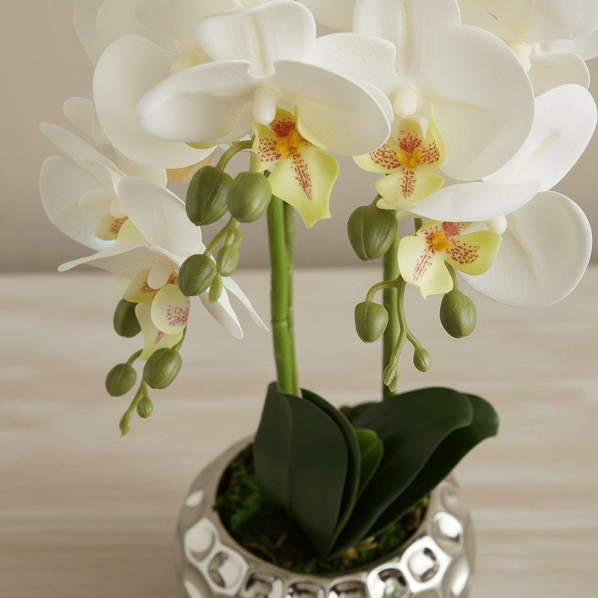 Areos Artificial Orchid Potted Plants in Ceramic Pot - 16x10x45 cm-hbxlivingroom-decorandaccessories-plantersandurns-image-2