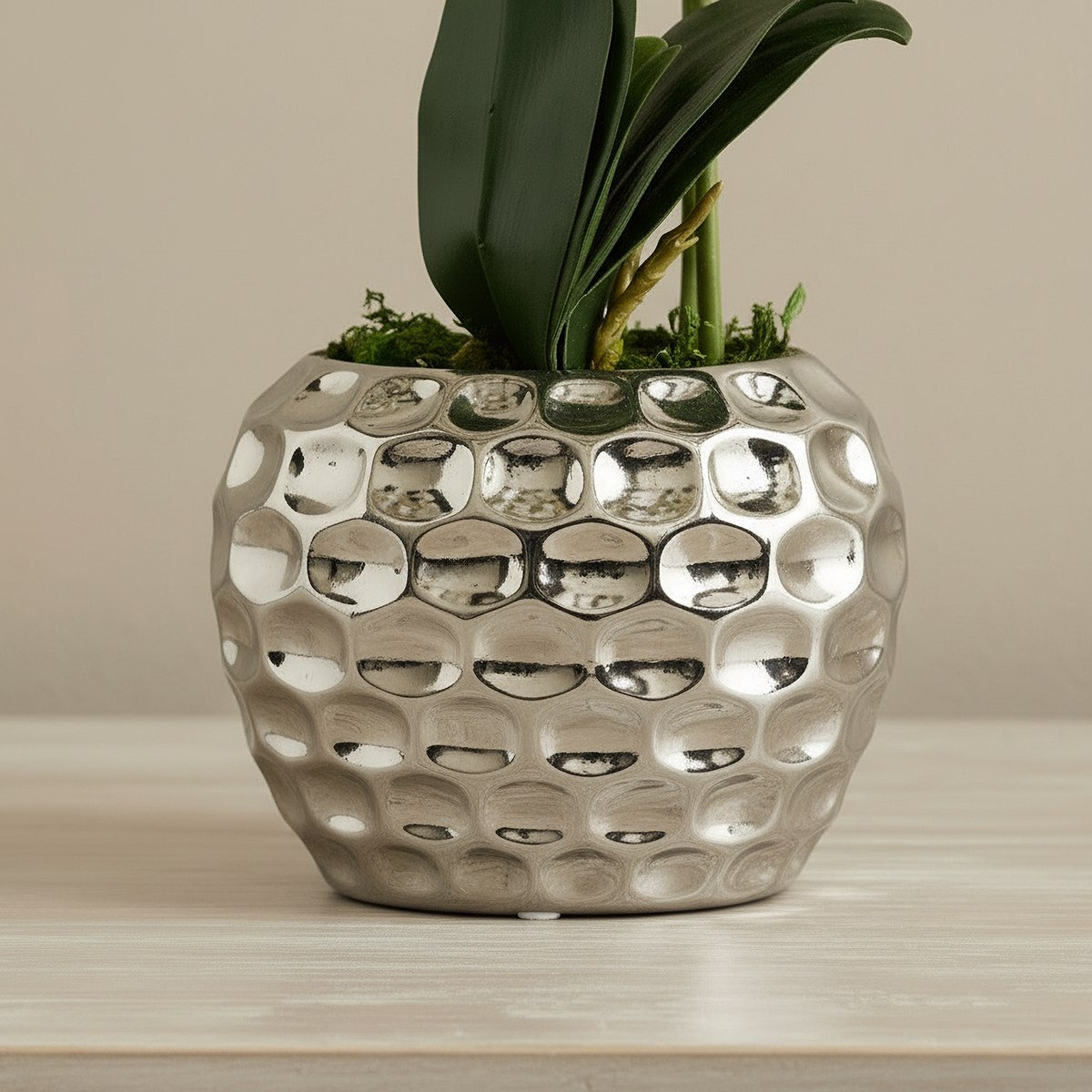 Areos Artificial Orchid Potted Plants in Ceramic Pot - 16x10x45 cm-hbxlivingroom-decorandaccessories-plantersandurns-image-3