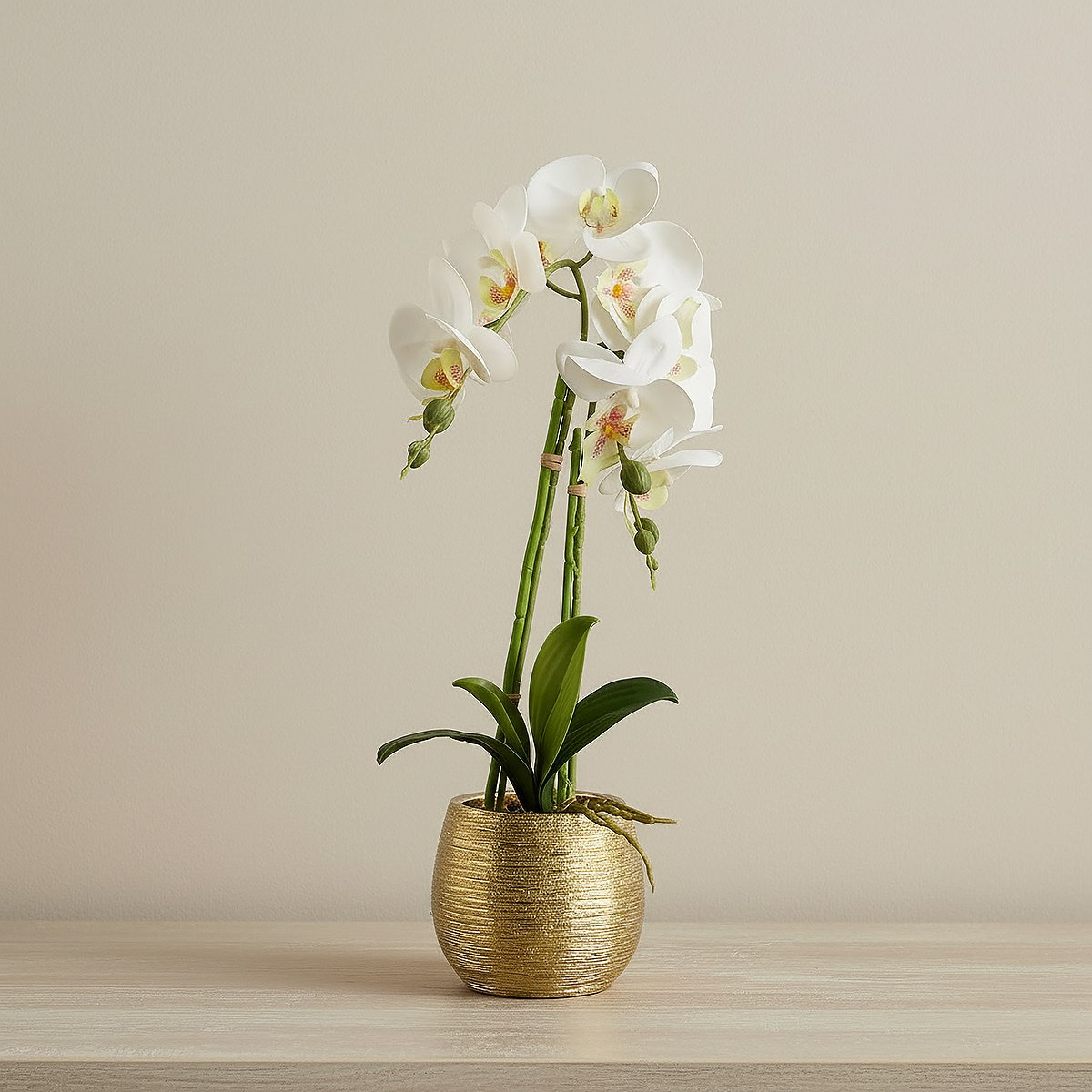 Areos Artificial Orchid Potted Plants in Ceramic Pot - 20x46 cm-hbxlivingroom-decorandaccessories-plantersandurns-image-1