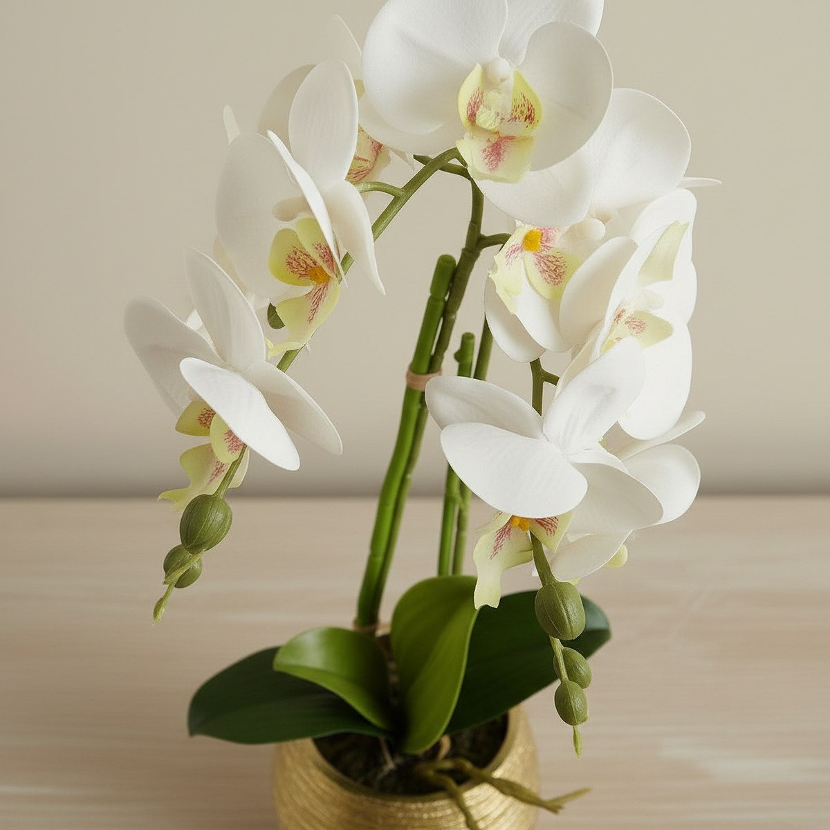 Areos Artificial Orchid Potted Plants in Ceramic Pot - 20x46 cm-hbxlivingroom-decorandaccessories-plantersandurns-image-2