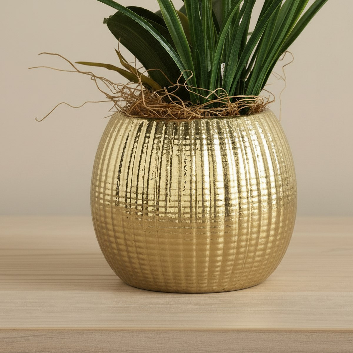 Areos Artificial Orchid Potted Plants in Ceramic Pot - 60 cm-hbxlivingroom-decorandaccessories-plantersandurns-image-2