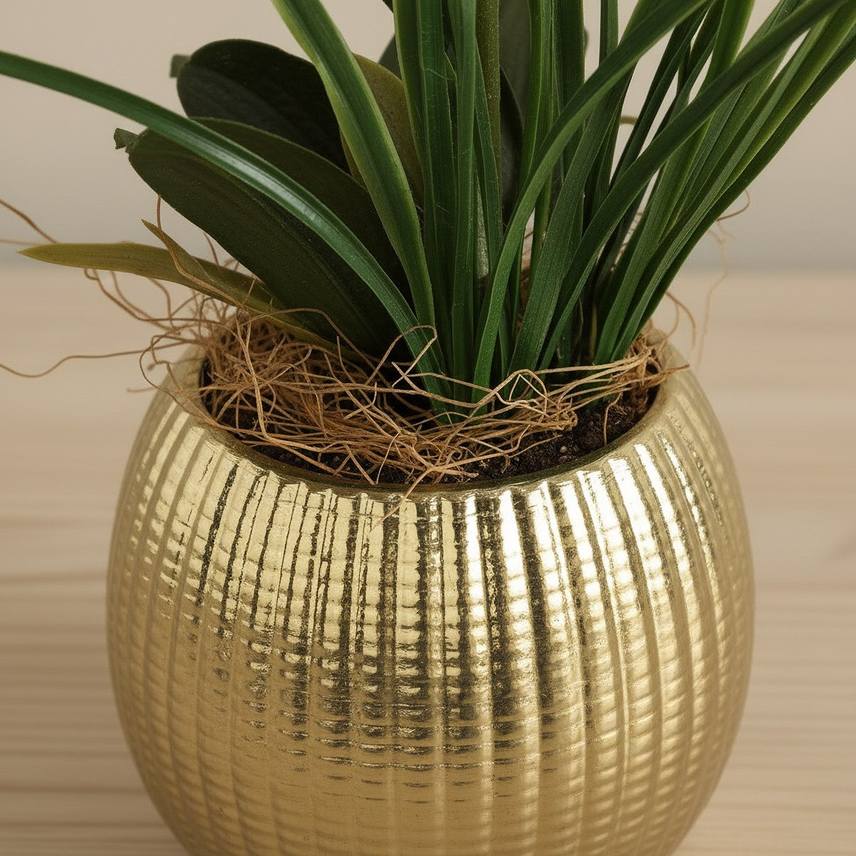 Areos Artificial Orchid Potted Plants in Ceramic Pot - 60 cm-hbxlivingroom-decorandaccessories-plantersandurns-image-3