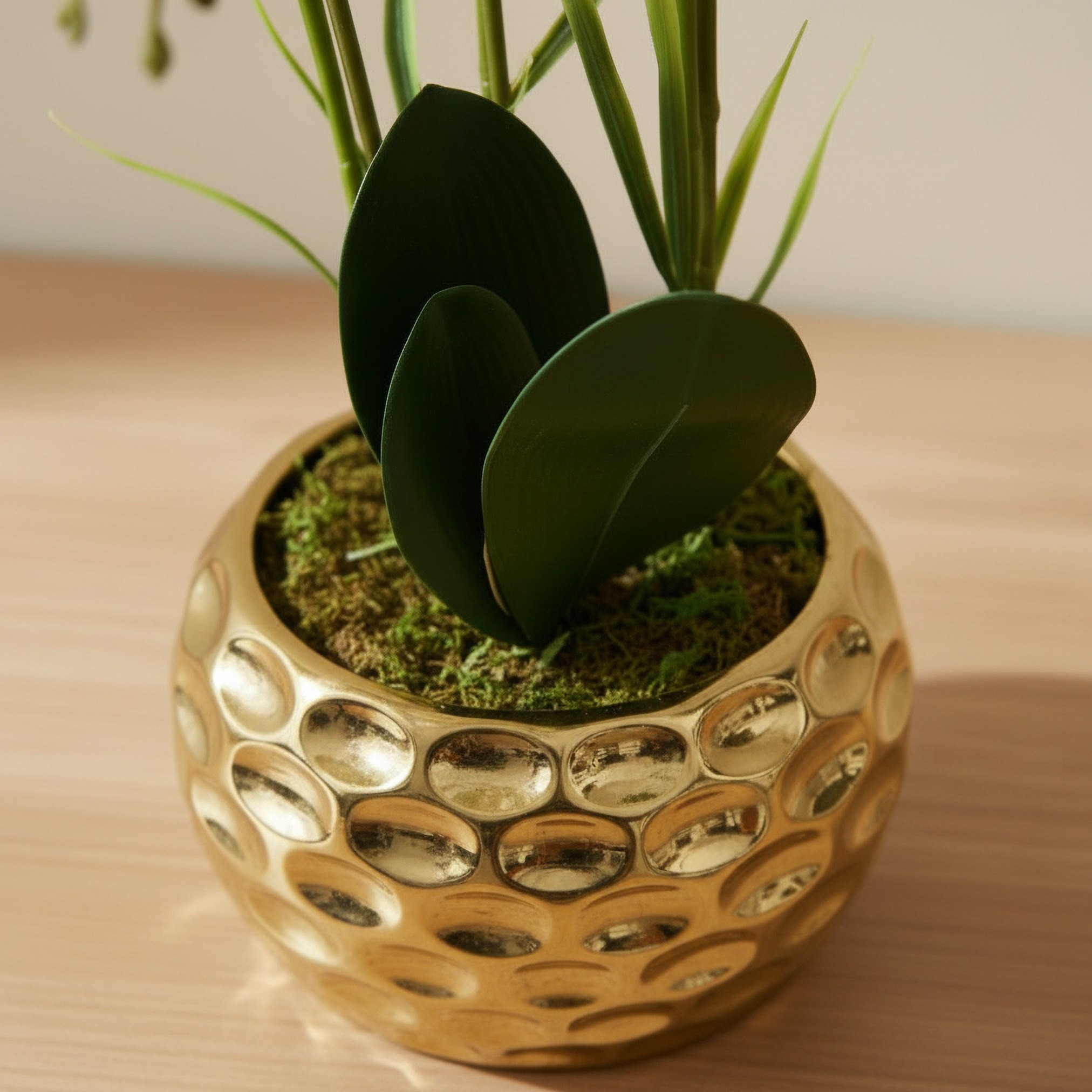 Areos Artificial Orchid Potted Plants in Ceramic Pot - 60 cm-hbxlivingroom-decorandaccessories-plantersandurns-image-2