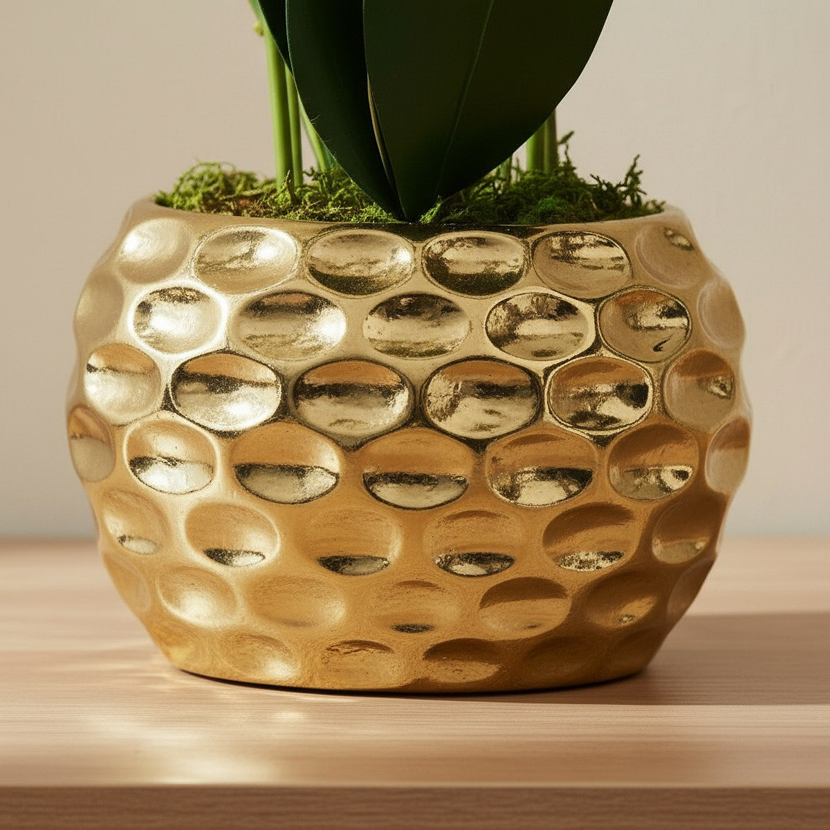 Areos Artificial Orchid Potted Plants in Ceramic Pot - 60 cm-hbxlivingroom-decorandaccessories-plantersandurns-image-3