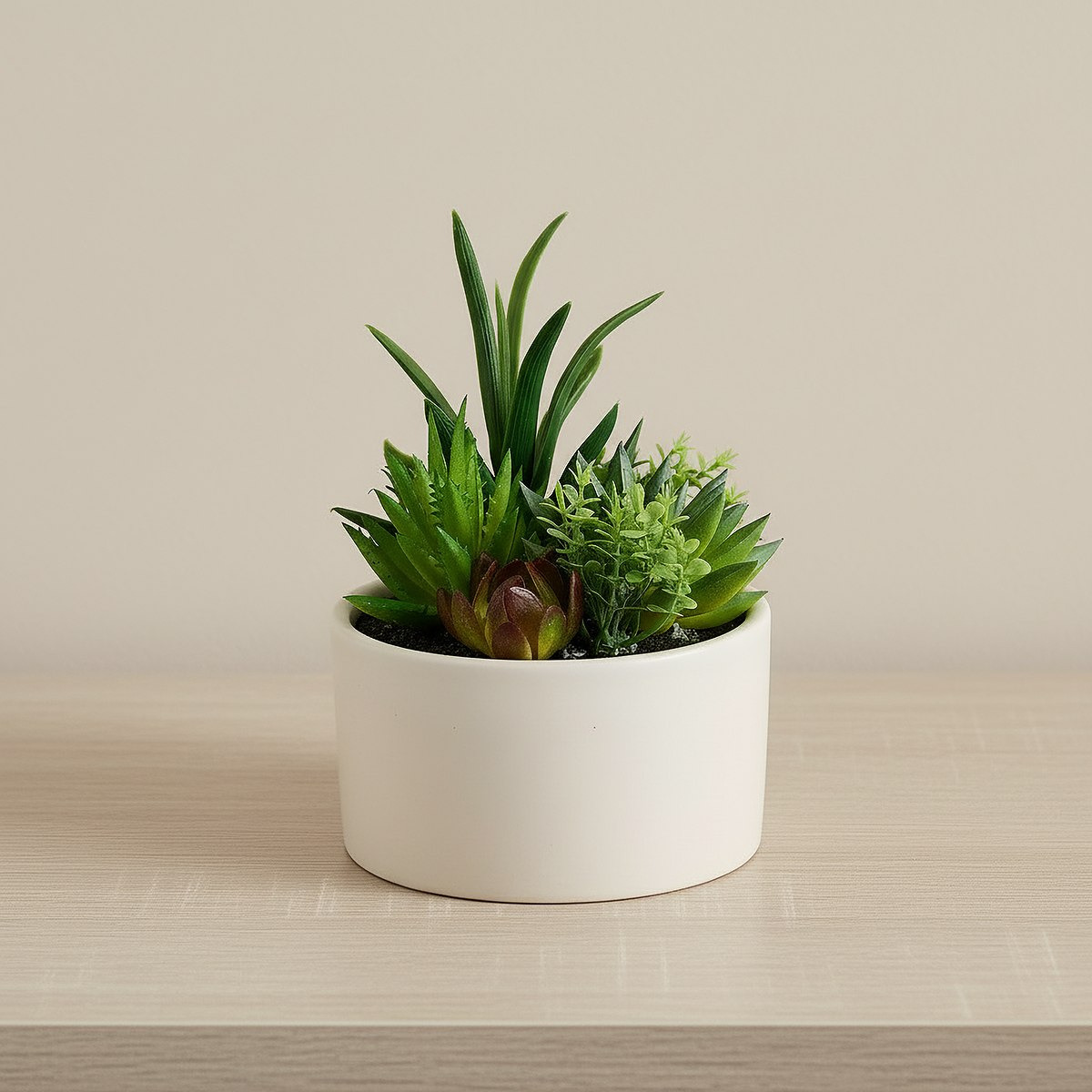 Tant Artificial Succulent Potted Plants - 15 cm-hbxlivingroom-decorandaccessories-plantersandurns-image-1