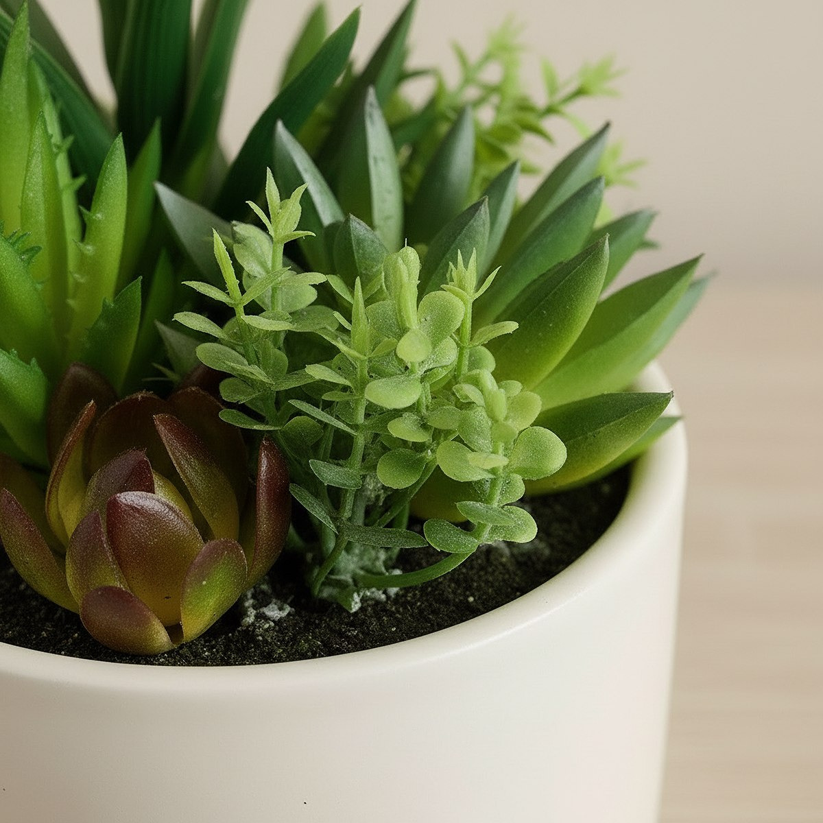 Tant Artificial Succulent Potted Plants - 15 cm-hbxlivingroom-decorandaccessories-plantersandurns-image-2