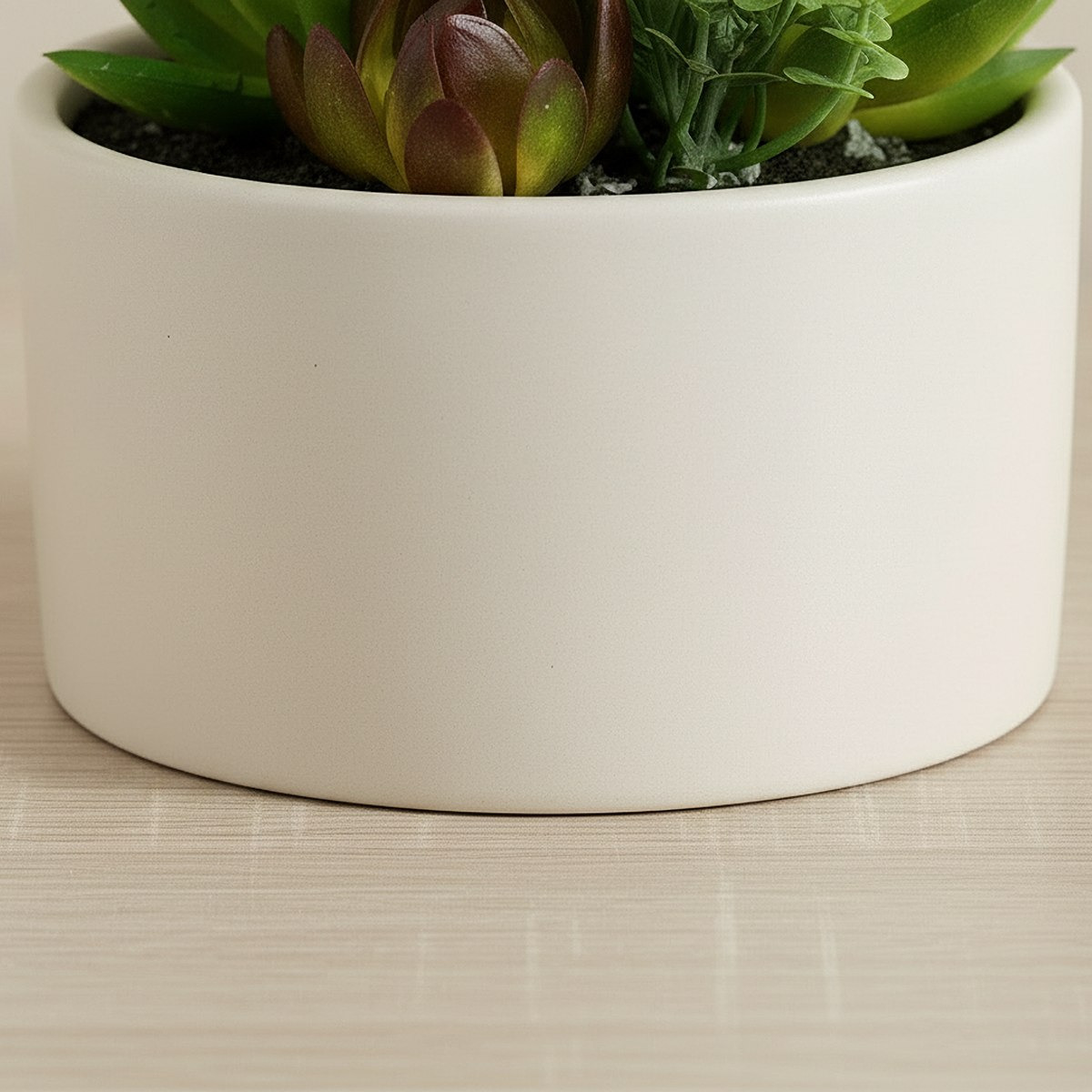 Tant Artificial Succulent Potted Plants - 15 cm-hbxlivingroom-decorandaccessories-plantersandurns-image-3