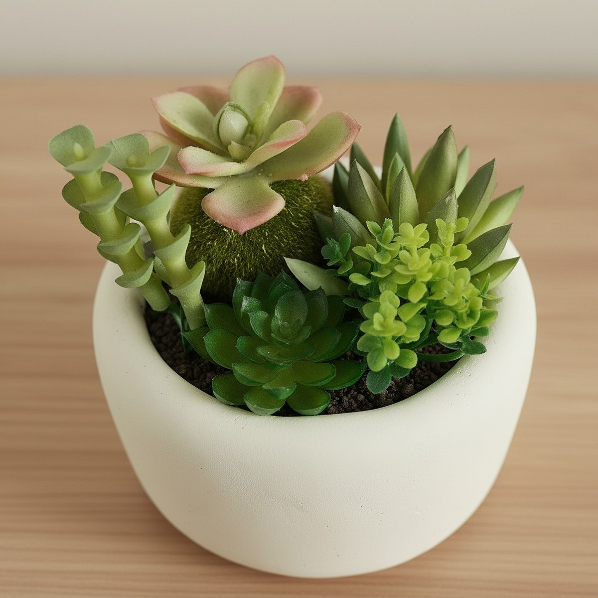 Tant Artificial Succulent Potted Plants - 15 cm-hbxlivingroom-decorandaccessories-plantersandurns-image-2
