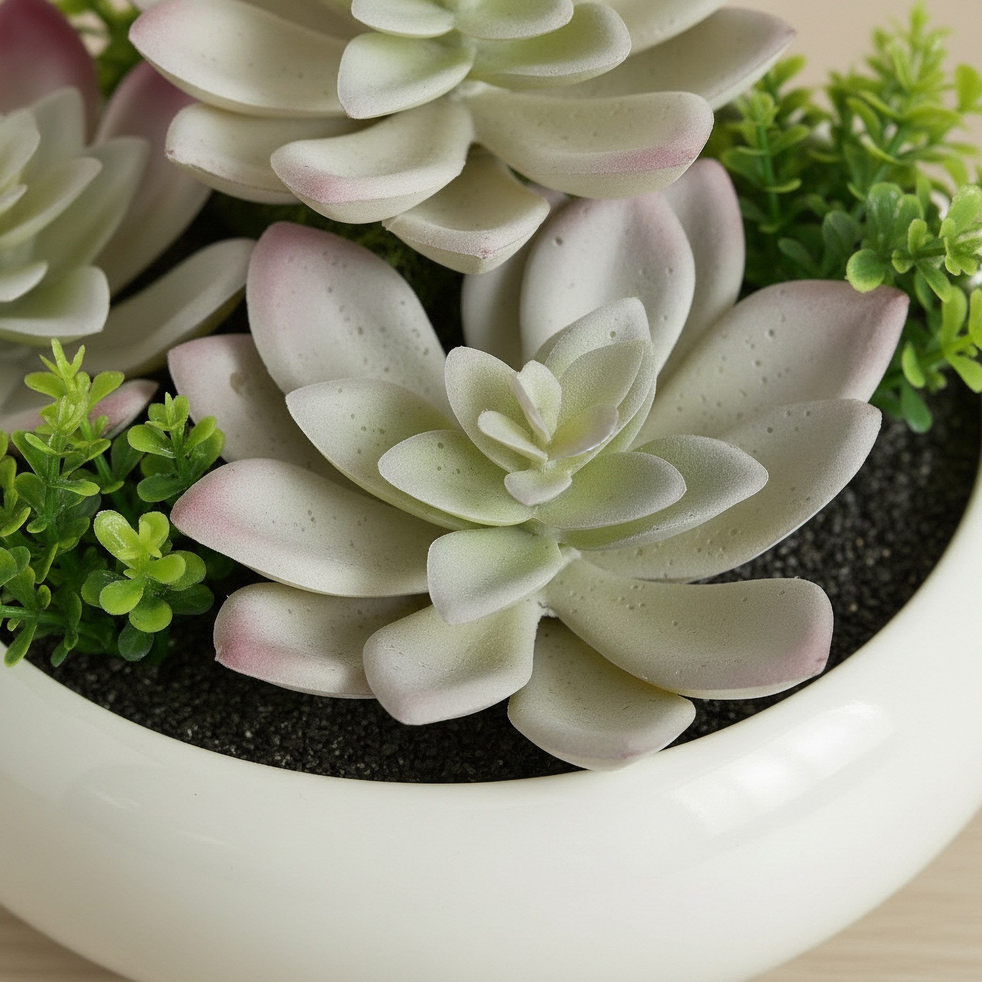 Tant Artificial Succulent Potted Plants - 15 cm-hbxlivingroom-decorandaccessories-plantersandurns-image-2