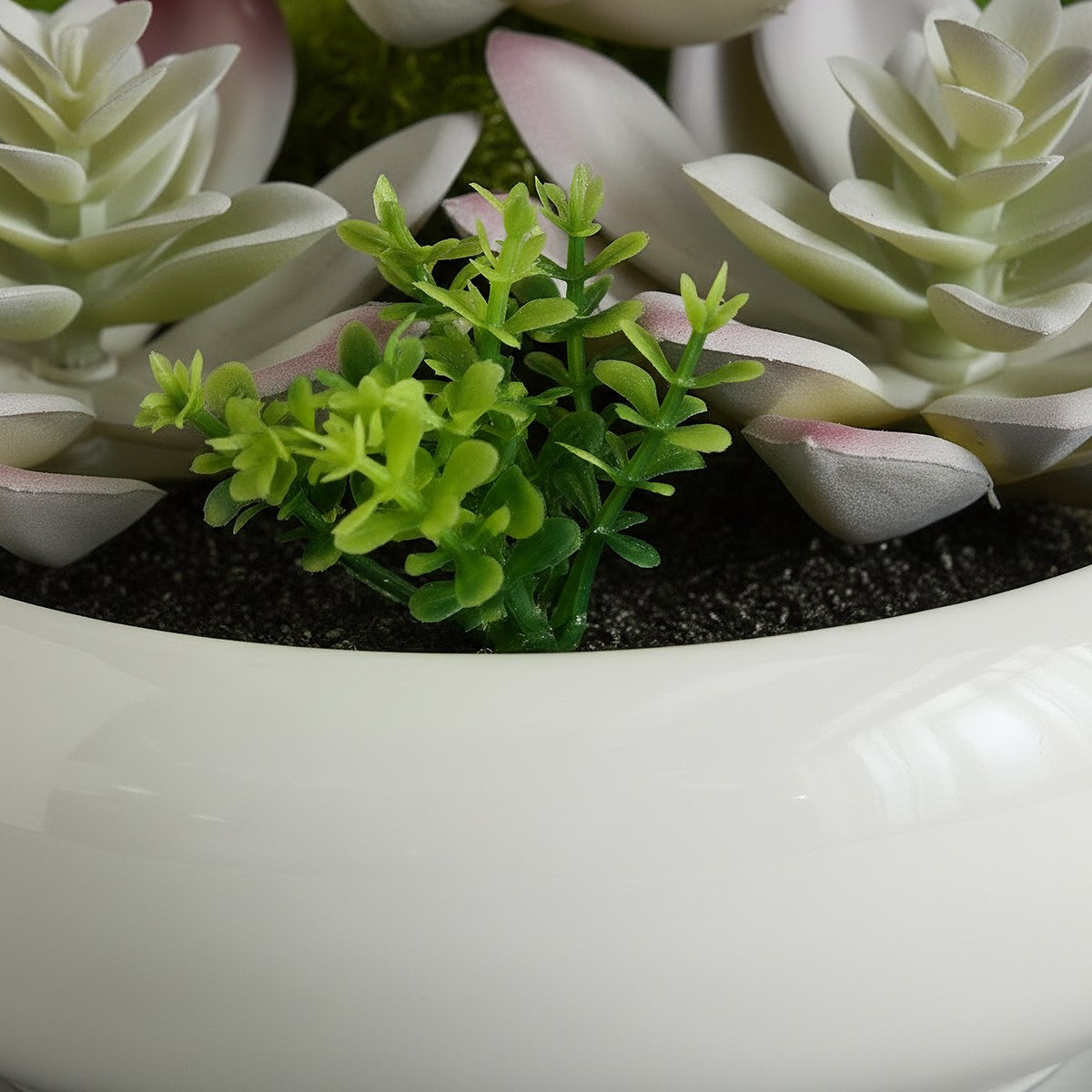 Tant Artificial Succulent Potted Plants - 15 cm-hbxlivingroom-decorandaccessories-plantersandurns-image-3