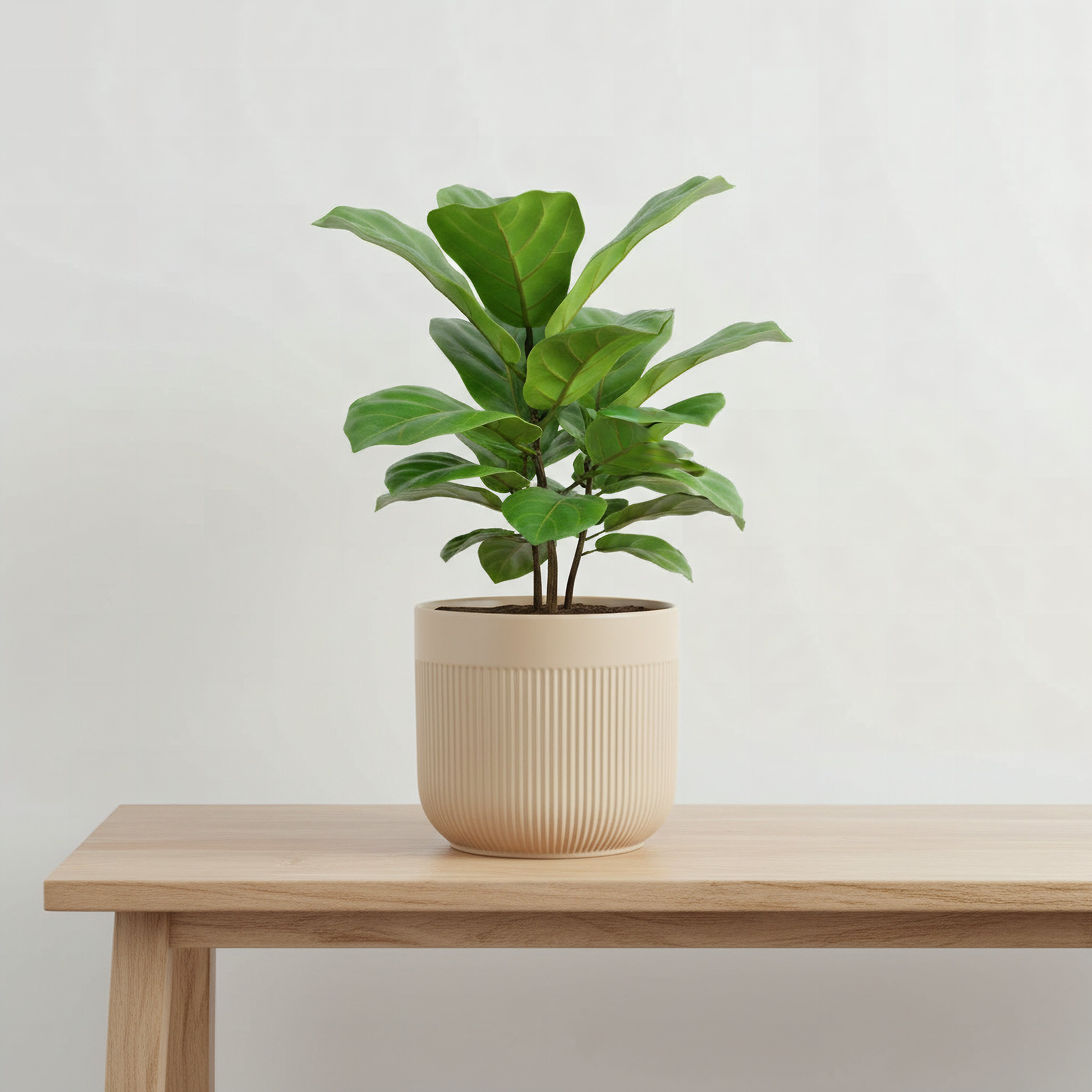 Opaline Vogish Decorative Ceramic Planter - 16.5x16.5x15 cm-hbxhomeware-hbxdecorandfurnishings-image-1