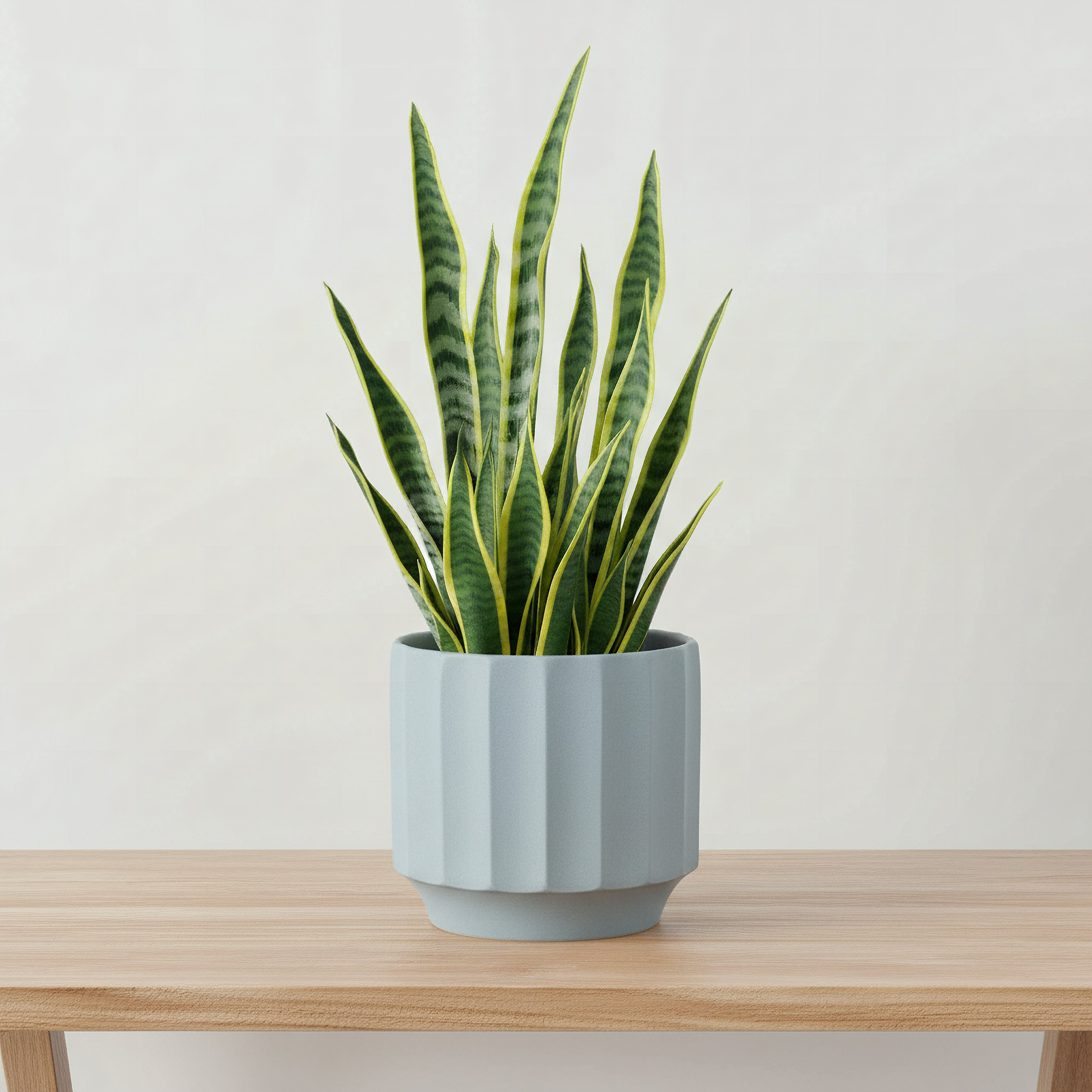 Opaline Vogish Decorative Ceramic Planter - 19x19x17 cm-hbxhomeware-hbxdecorandfurnishings-image-1