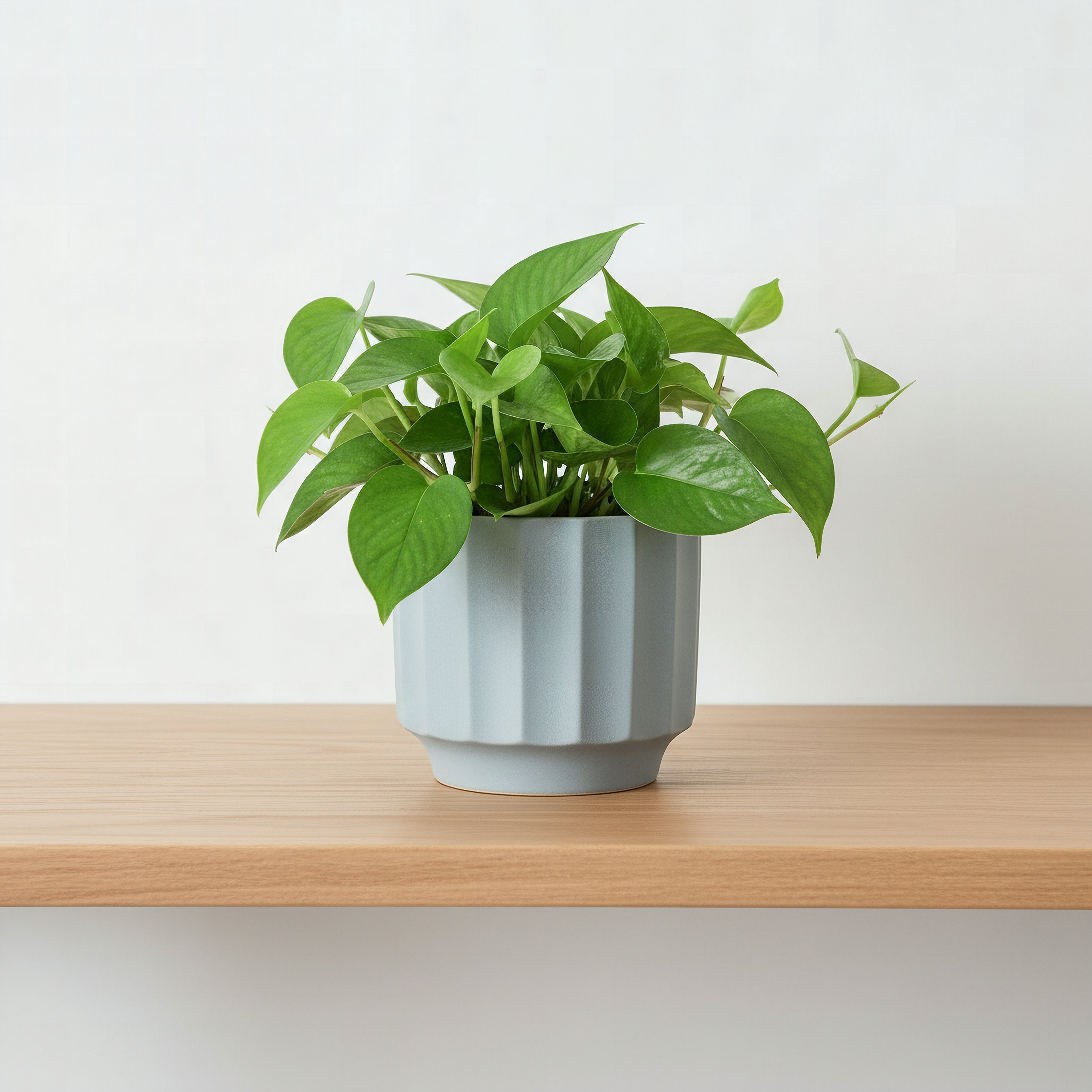 Opaline Vogish Decorative Ceramic Planter - 16x16x14 cm-hbxhomeware-hbxdecorandfurnishings-image-1