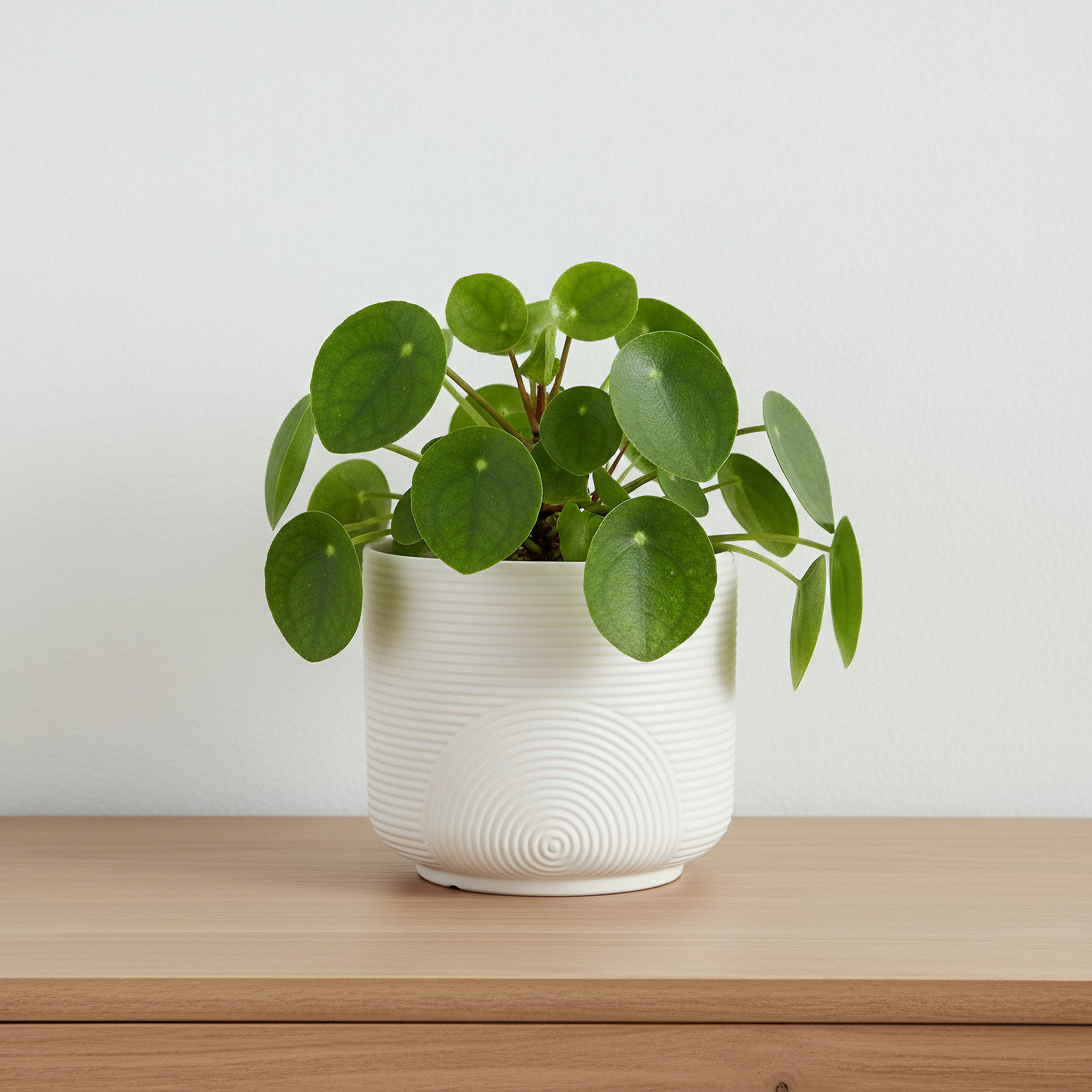 Opaline Vogish Decorative Ceramic Planter - 17x17x15.5 cm-hbxhomeware-hbxdecorandfurnishings-image-1