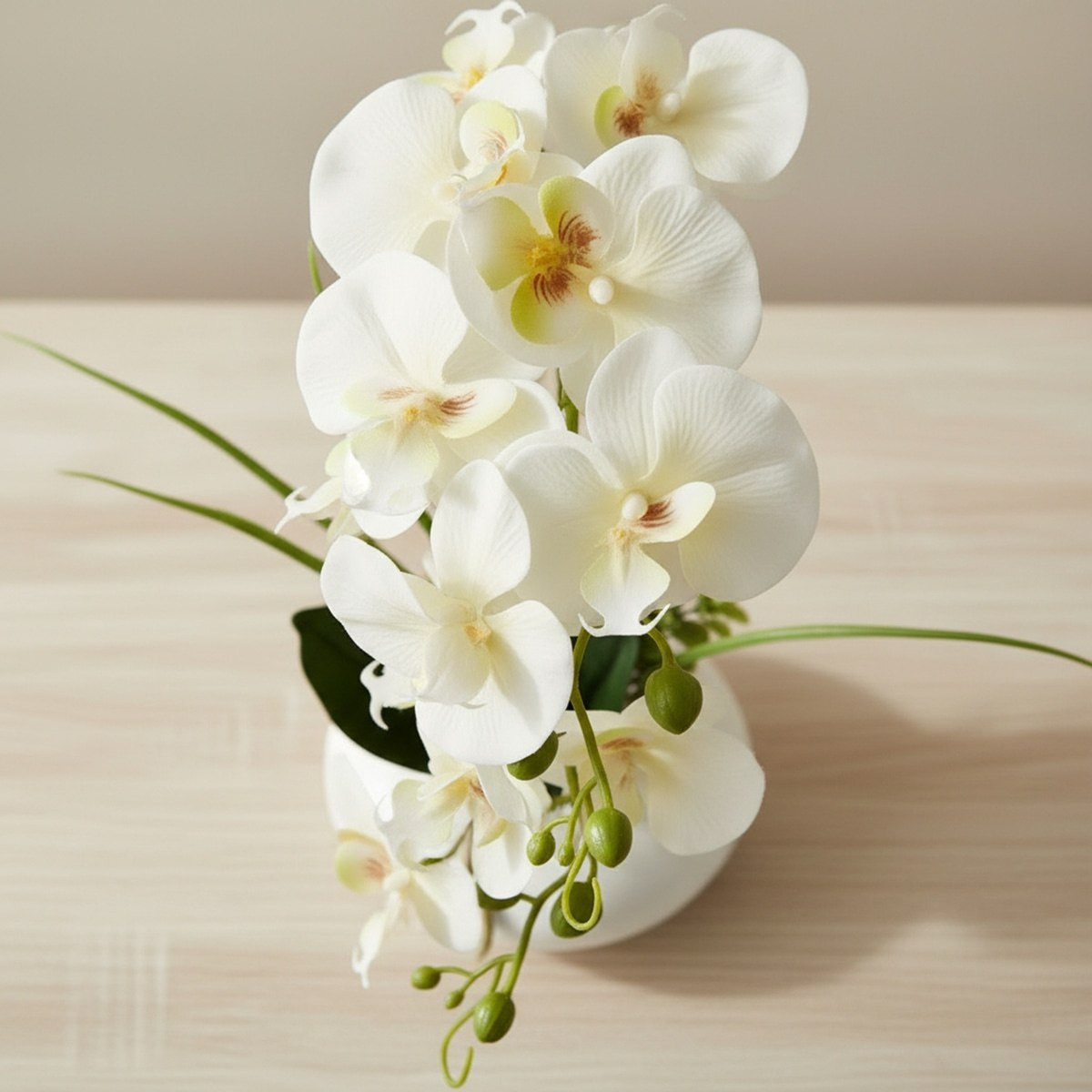 Areos Artificial Orchid Plant in Ceramic Pot - 50 cm-hbxlivingroom-decorandaccessories-plantersandurns-image-2