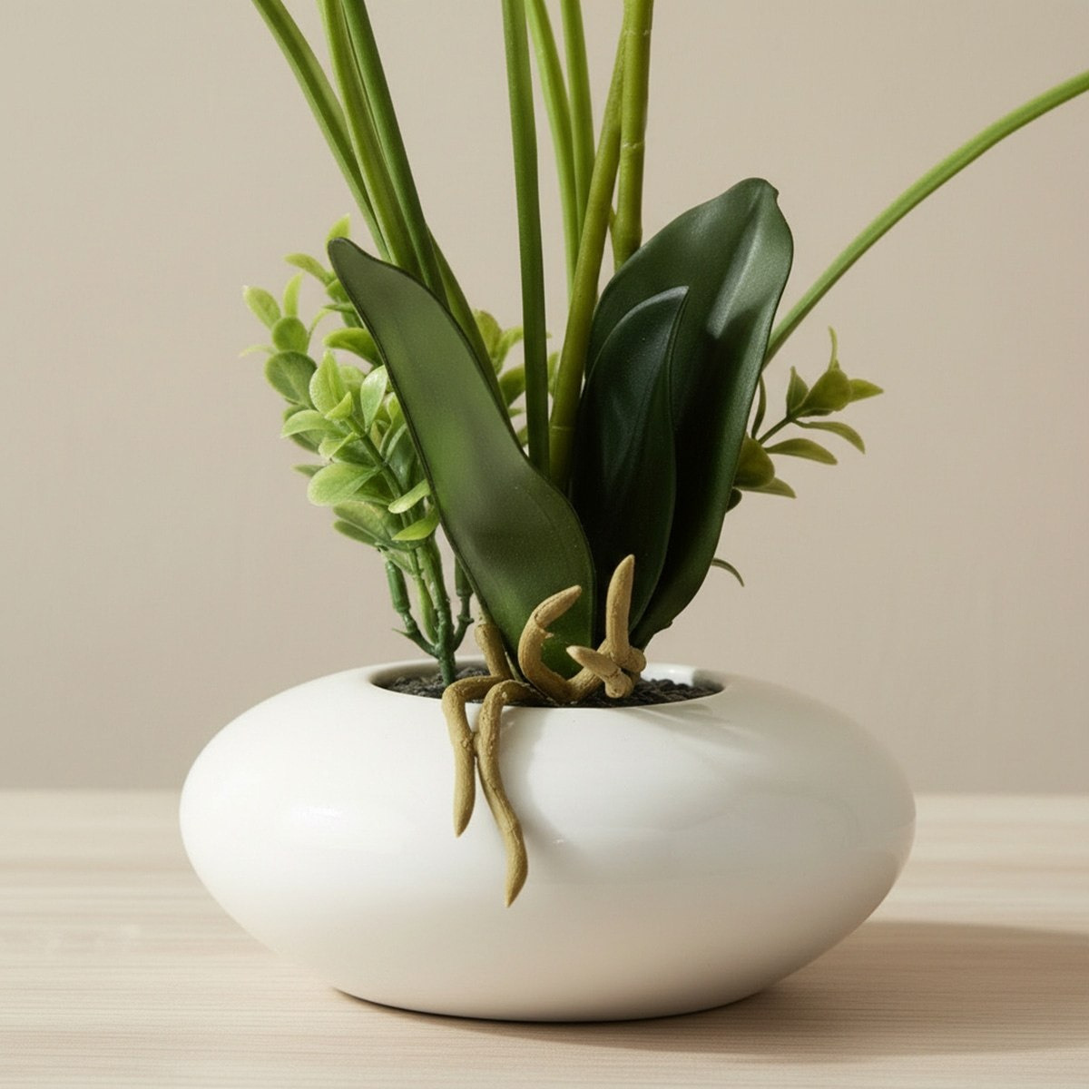 Areos Artificial Orchid Plant in Ceramic Pot - 50 cm-hbxlivingroom-decorandaccessories-plantersandurns-image-3