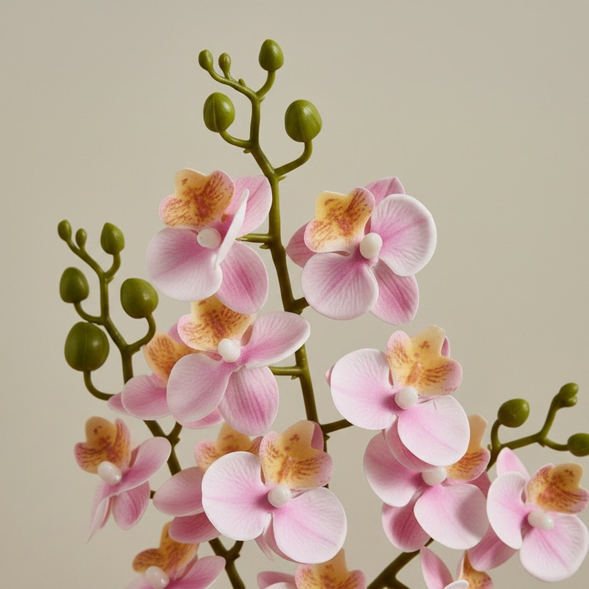 نبات أوركيد صناعي في أصيص سيراميك - أريوس - 46 سم-hbxlivingroom-decorandaccessories-plantersandurns-image-2