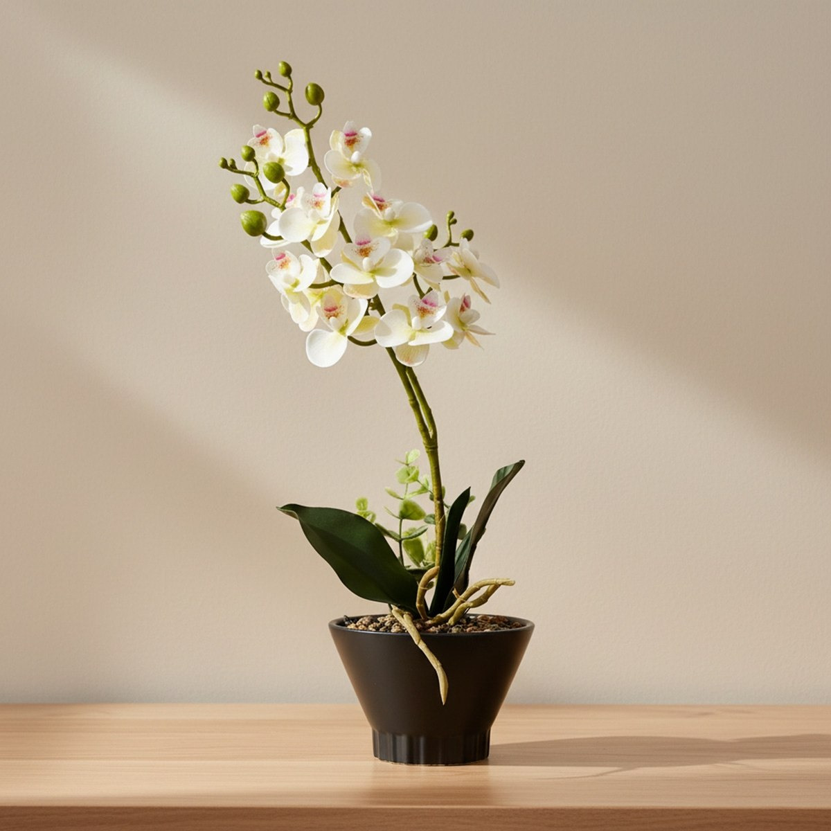 Areos Artificial Orchid Plant in Ceramic Pot - 46 cm-hbxlivingroom-decorandaccessories-plantersandurns-image-1