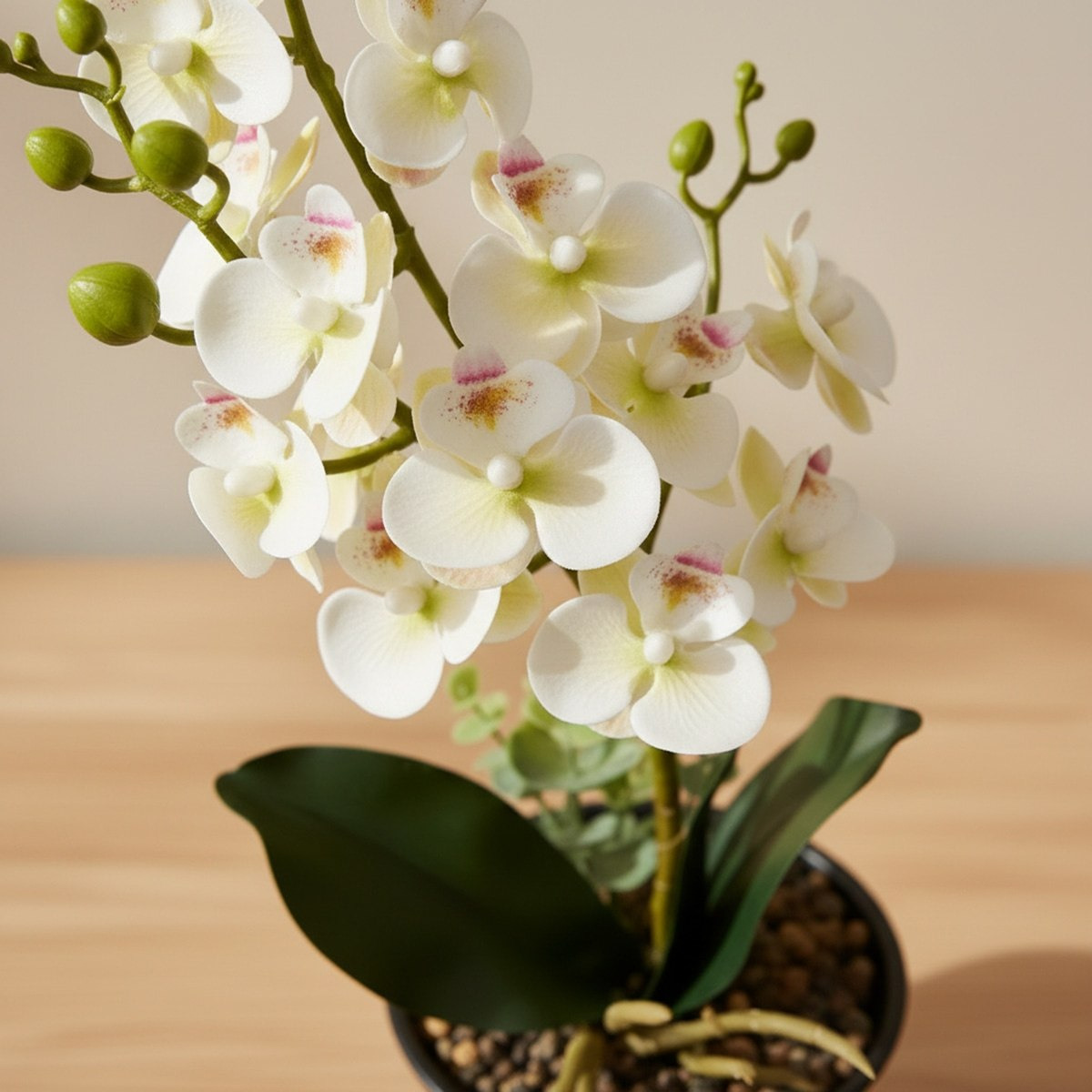 Areos Artificial Orchid Plant in Ceramic Pot - 46 cm-hbxlivingroom-decorandaccessories-plantersandurns-image-2