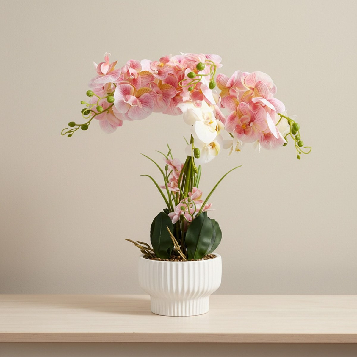 Areos Artificial Orchid Plant in Ceramic Pot - 60 cm-hbxlivingroom-decorandaccessories-plantersandurns-image-1