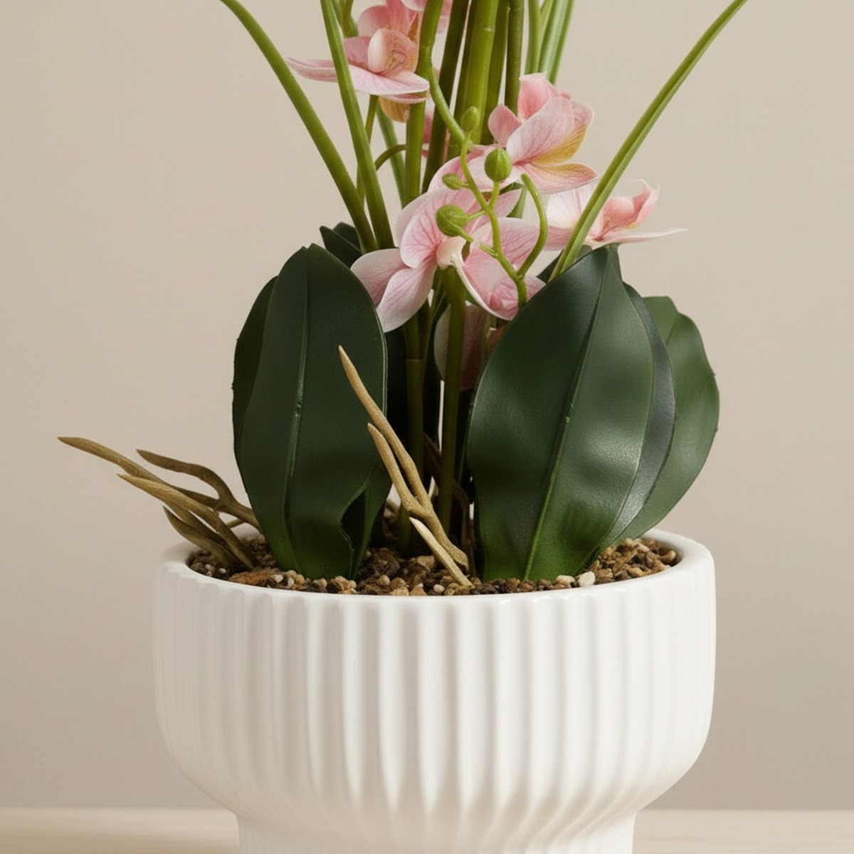 Areos Artificial Orchid Plant in Ceramic Pot - 60 cm-hbxlivingroom-decorandaccessories-plantersandurns-image-2
