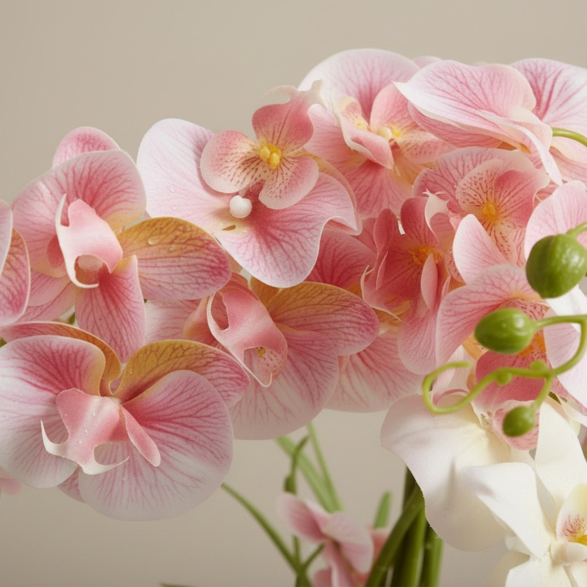 Areos Artificial Orchid Plant in Ceramic Pot - 60 cm-hbxlivingroom-decorandaccessories-plantersandurns-image-3