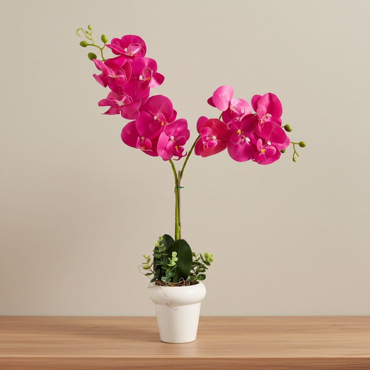 Areos Artificial Orchid Plant in Ceramic Pot - 45 cm-hbxlivingroom-decorandaccessories-plantersandurns-image-1