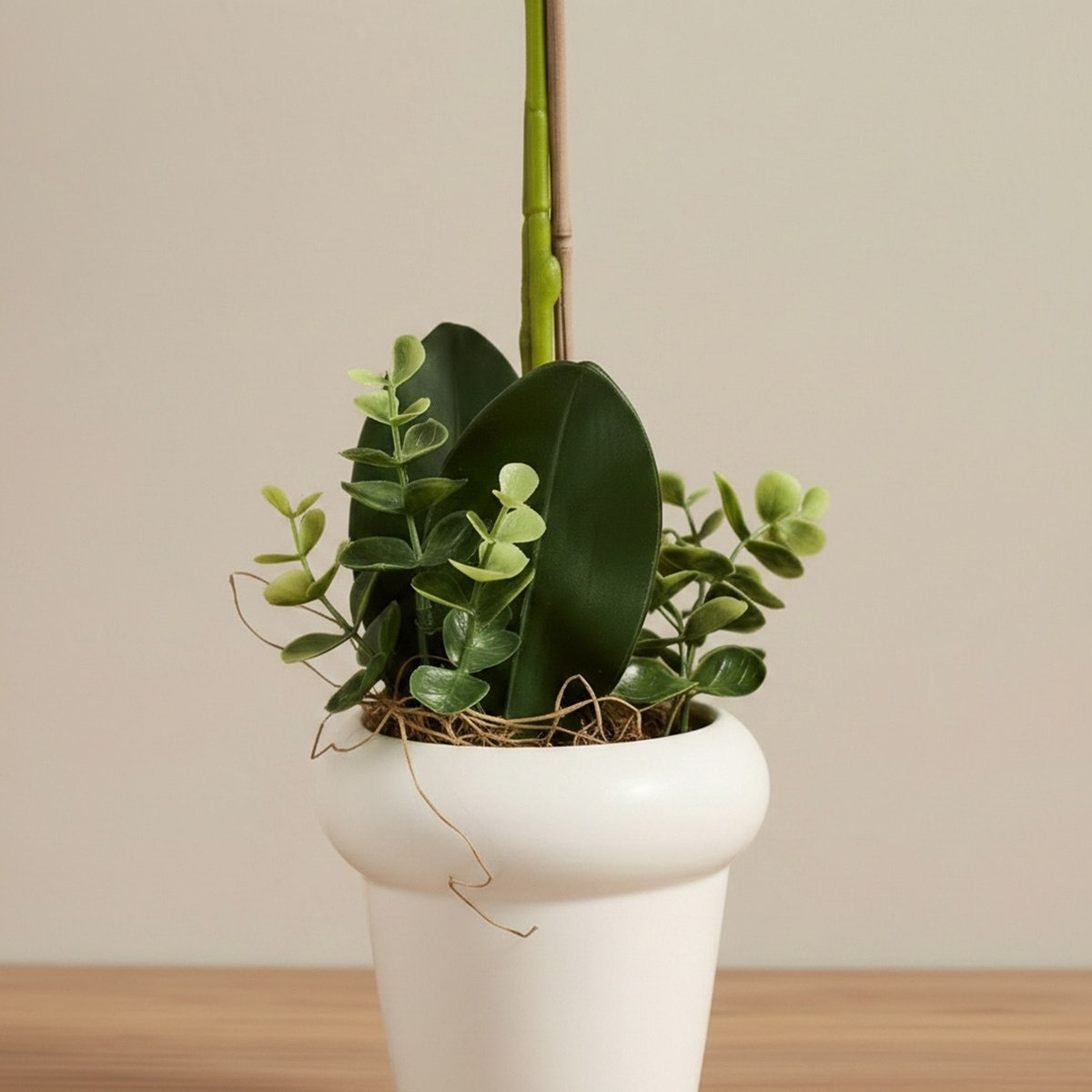Areos Artificial Orchid Plant in Ceramic Pot - 45 cm-hbxlivingroom-decorandaccessories-plantersandurns-image-2