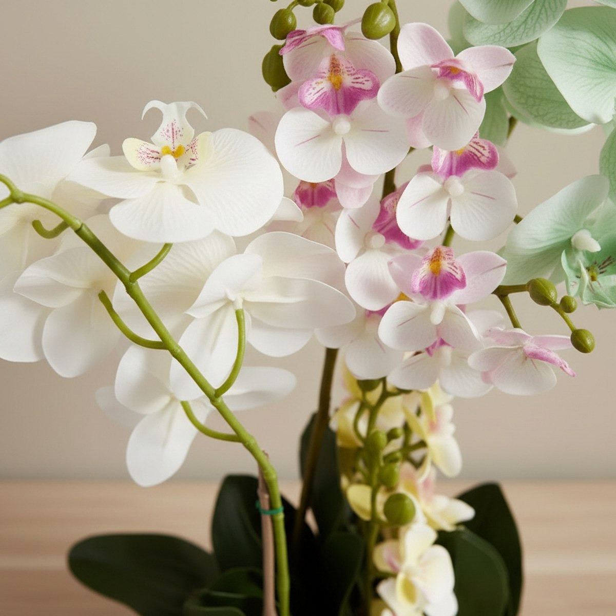 Areos Artificial Orchid Plant in Ceramic Pot - 50 cm-hbxlivingroom-decorandaccessories-plantersandurns-image-2
