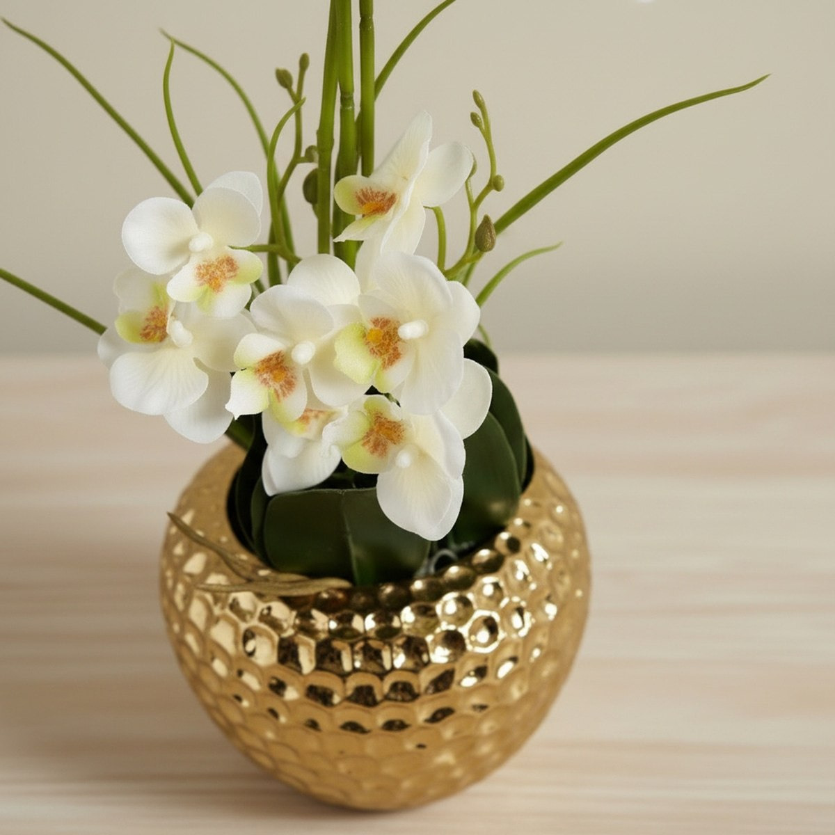 Areos Artificial Orchid Plant in Ceramic Pot - 55 cm-hbxlivingroom-decorandaccessories-plantersandurns-image-2