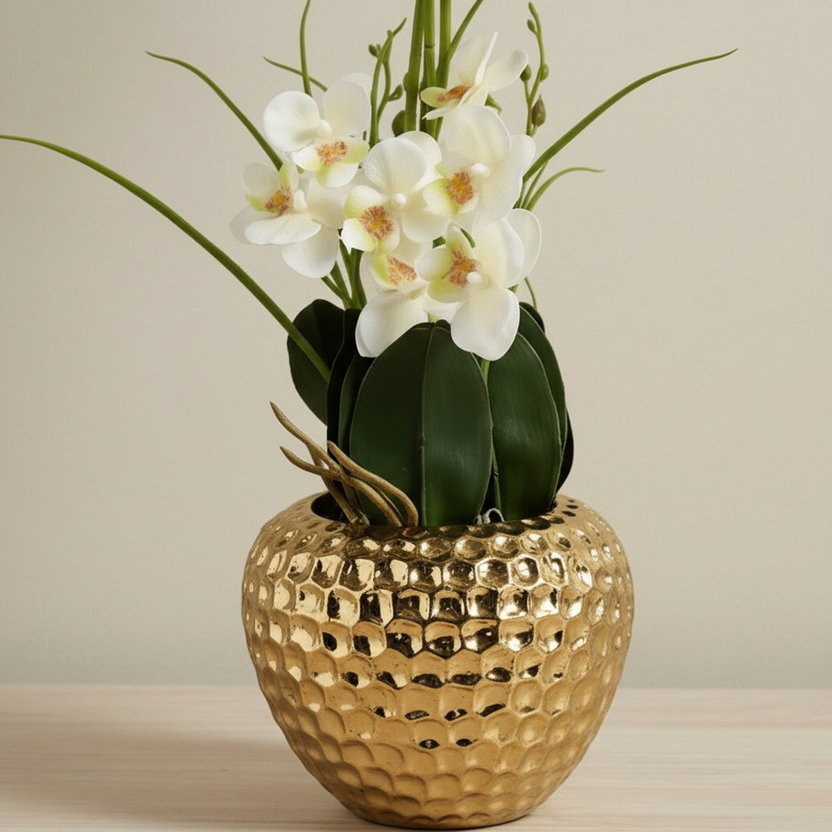 Areos Artificial Orchid Plant in Ceramic Pot - 55 cm-hbxlivingroom-decorandaccessories-plantersandurns-image-3