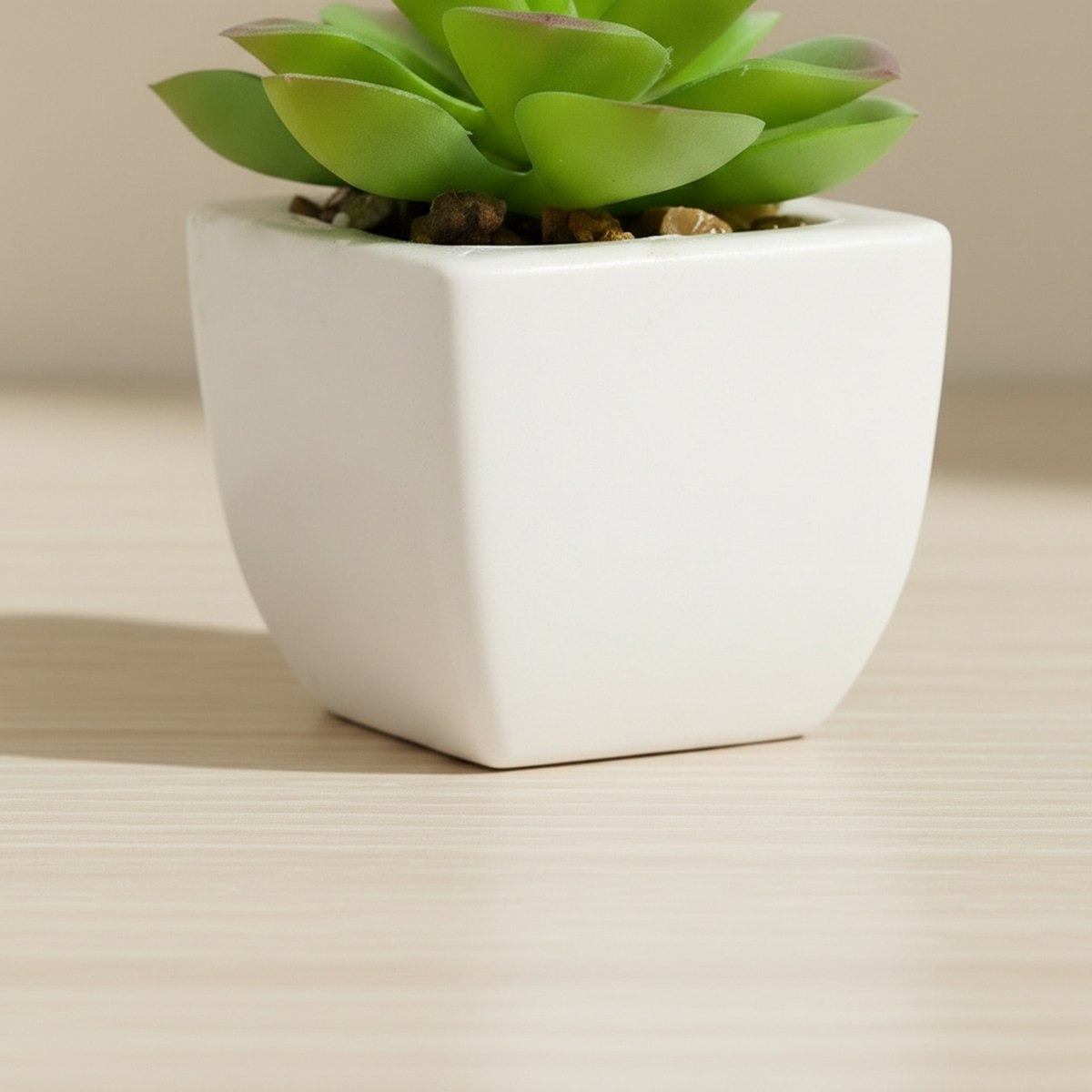 Tant Artificial Succulent Potted Plant in Pot - 6.5 cm-hbxlivingroom-decorandaccessories-plantersandurns-image-2