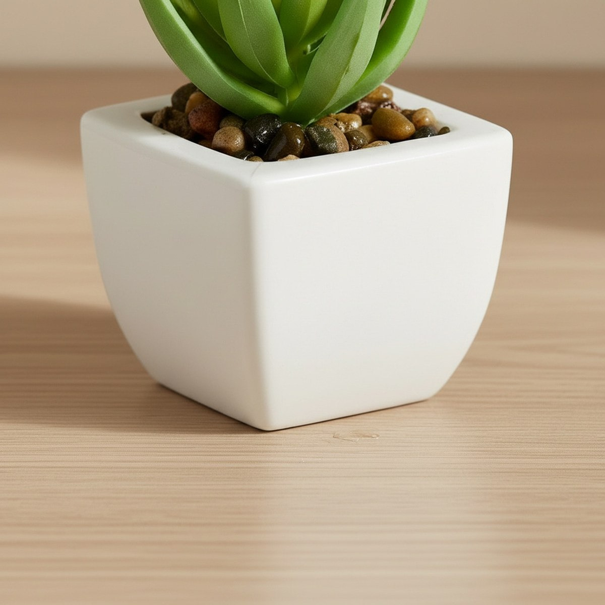 Tant Artificial Succulent Potted Plant in Plastic Pot - 8.5 cm-hbxlivingroom-decorandaccessories-plantersandurns-image-3