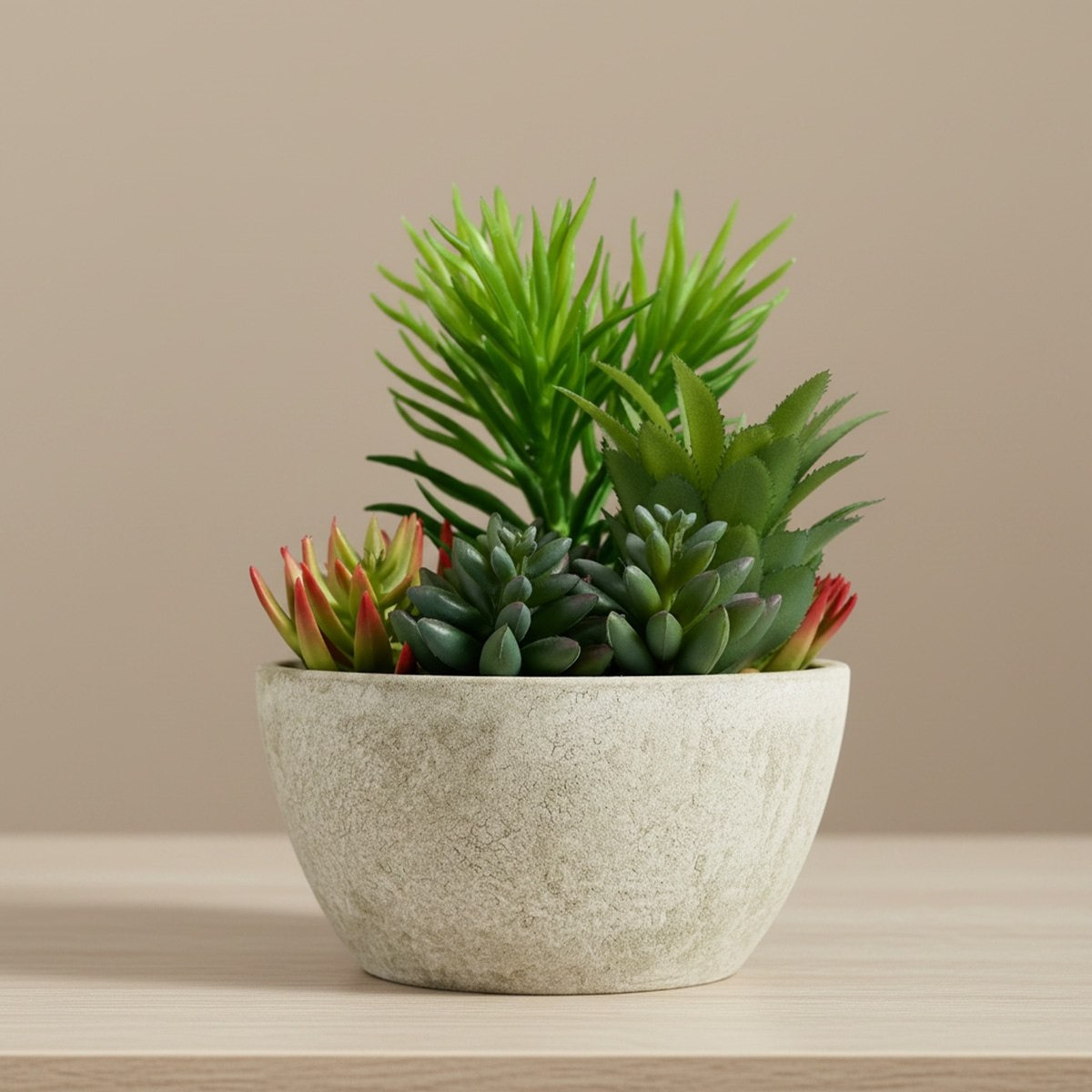 Tant Artificial Succulent Potted Plant in Paper Pulp Pot - 20 cm-hbxlivingroom-decorandaccessories-plantersandurns-image-1