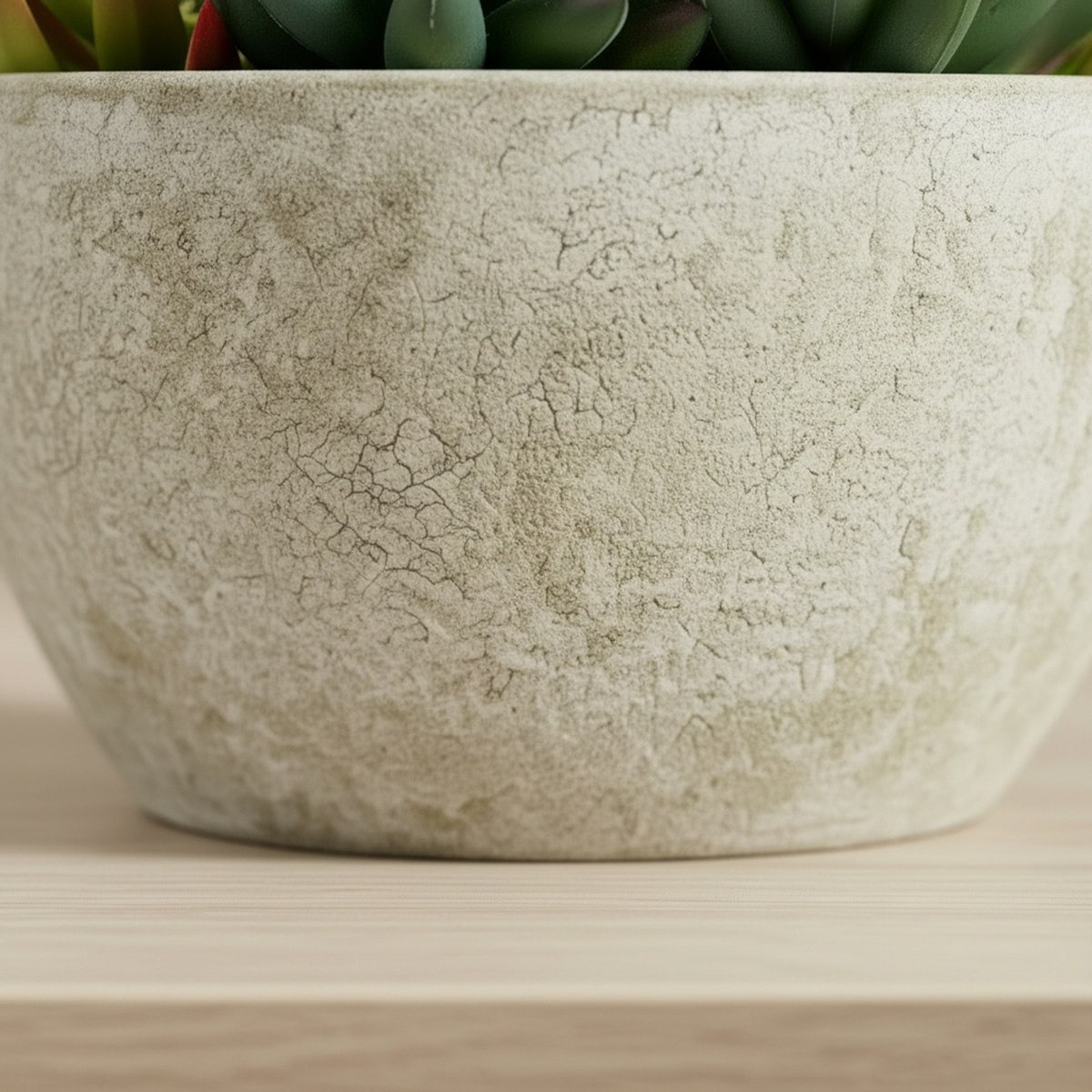 Tant Artificial Succulent Potted Plant in Paper Pulp Pot - 20 cm-hbxlivingroom-decorandaccessories-plantersandurns-image-2