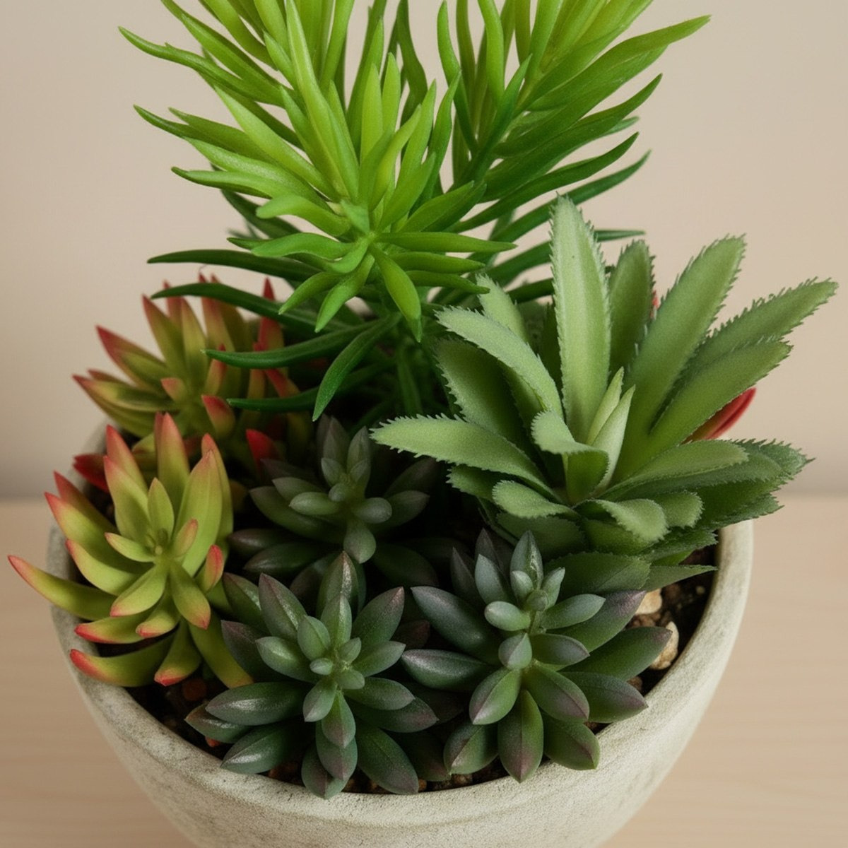 Tant Artificial Succulent Potted Plant in Paper Pulp Pot - 20 cm-hbxlivingroom-decorandaccessories-plantersandurns-image-3